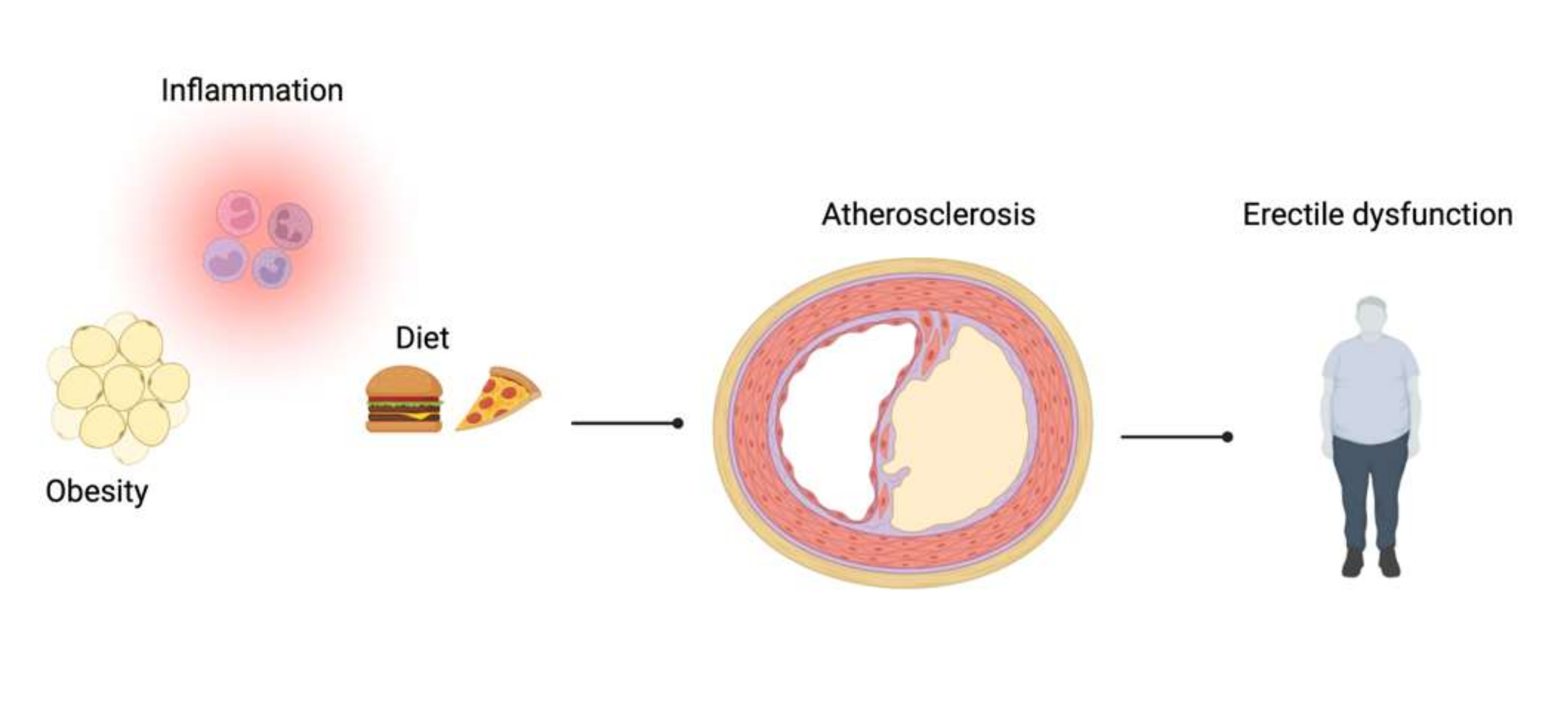 Nutrients 13 04148 g001 Nutrients 13 04148 g001