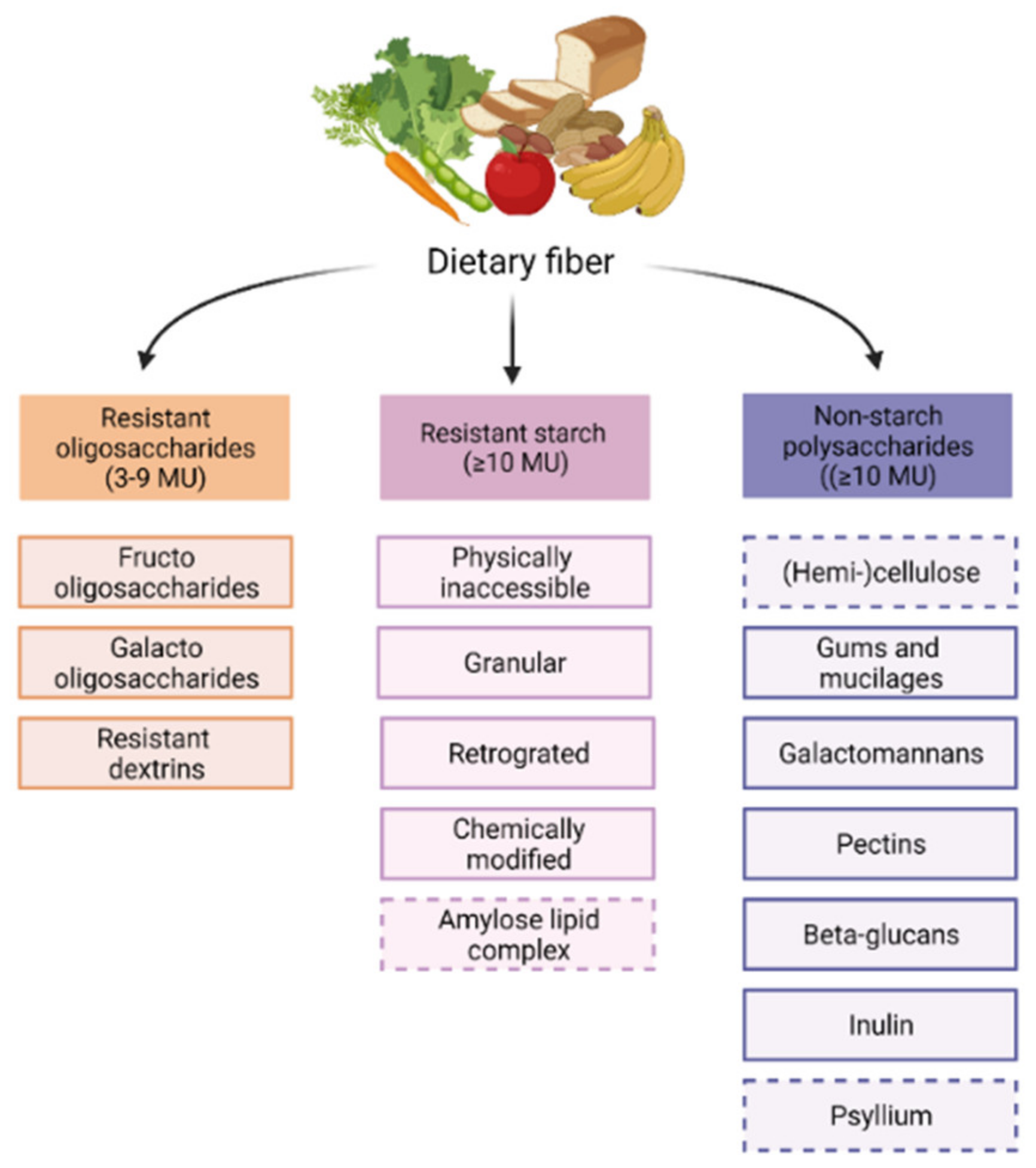 Nutrients Free FullText Dietary Fibers Effects, Underlying