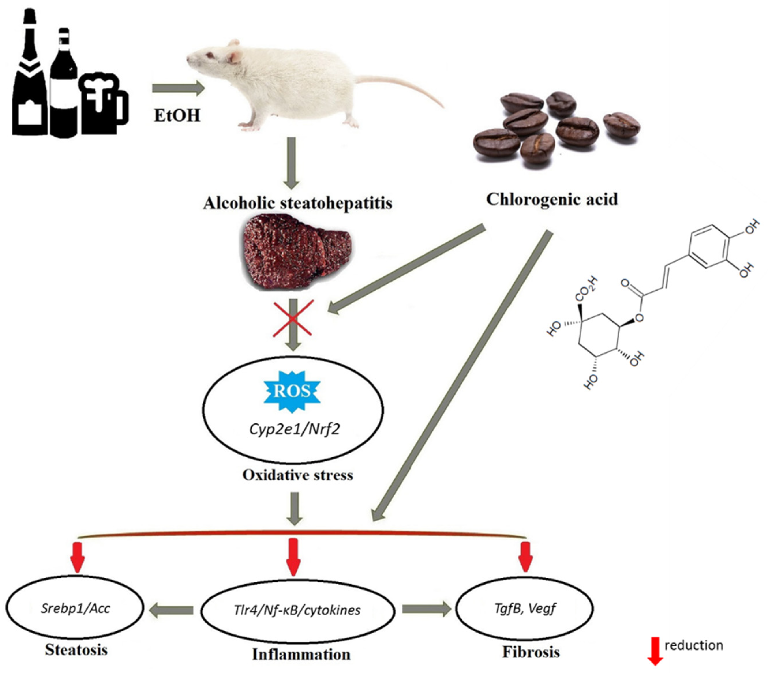 Nutrients 13 04155 g007