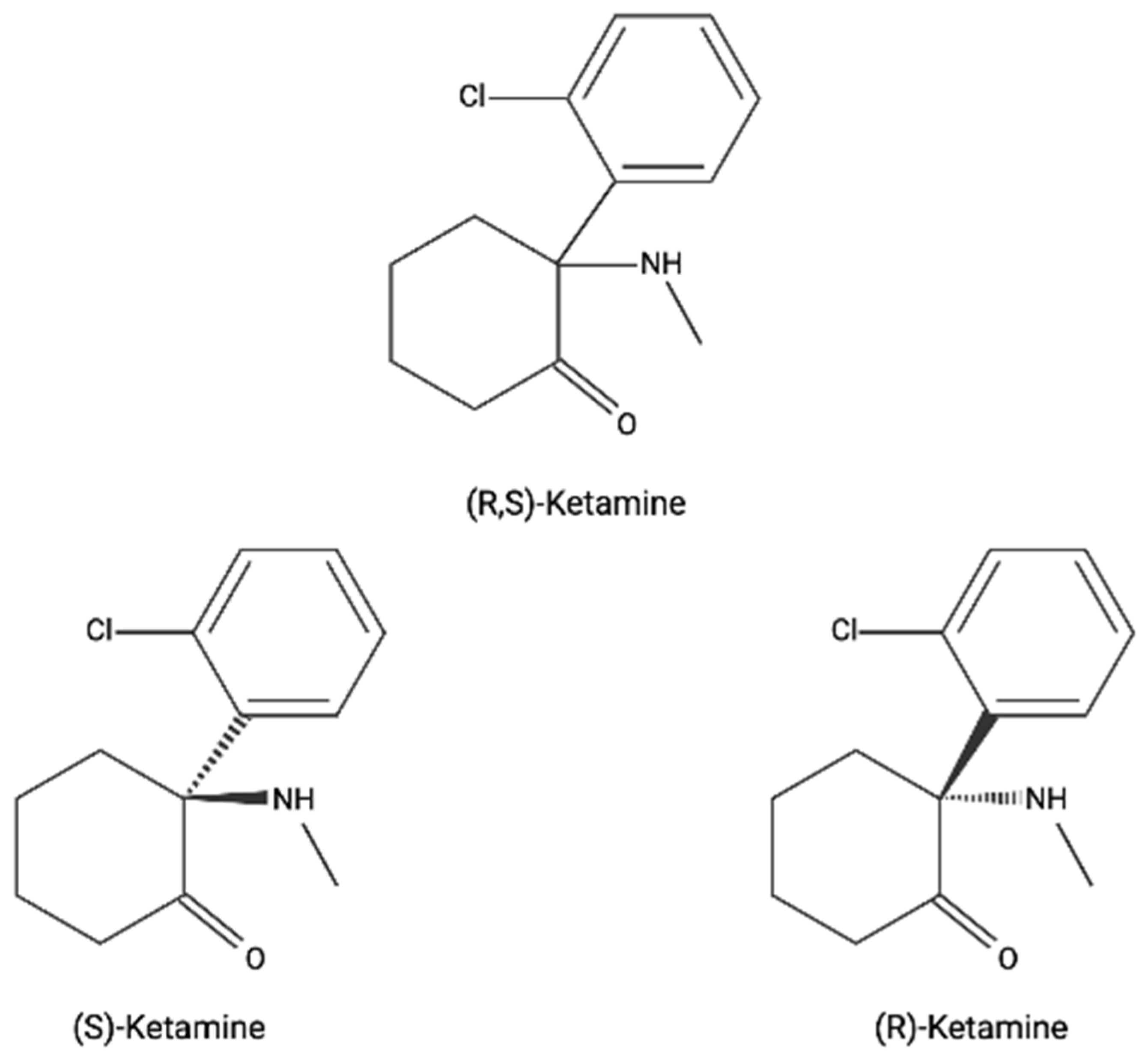 Nutrients 13 04158 g001