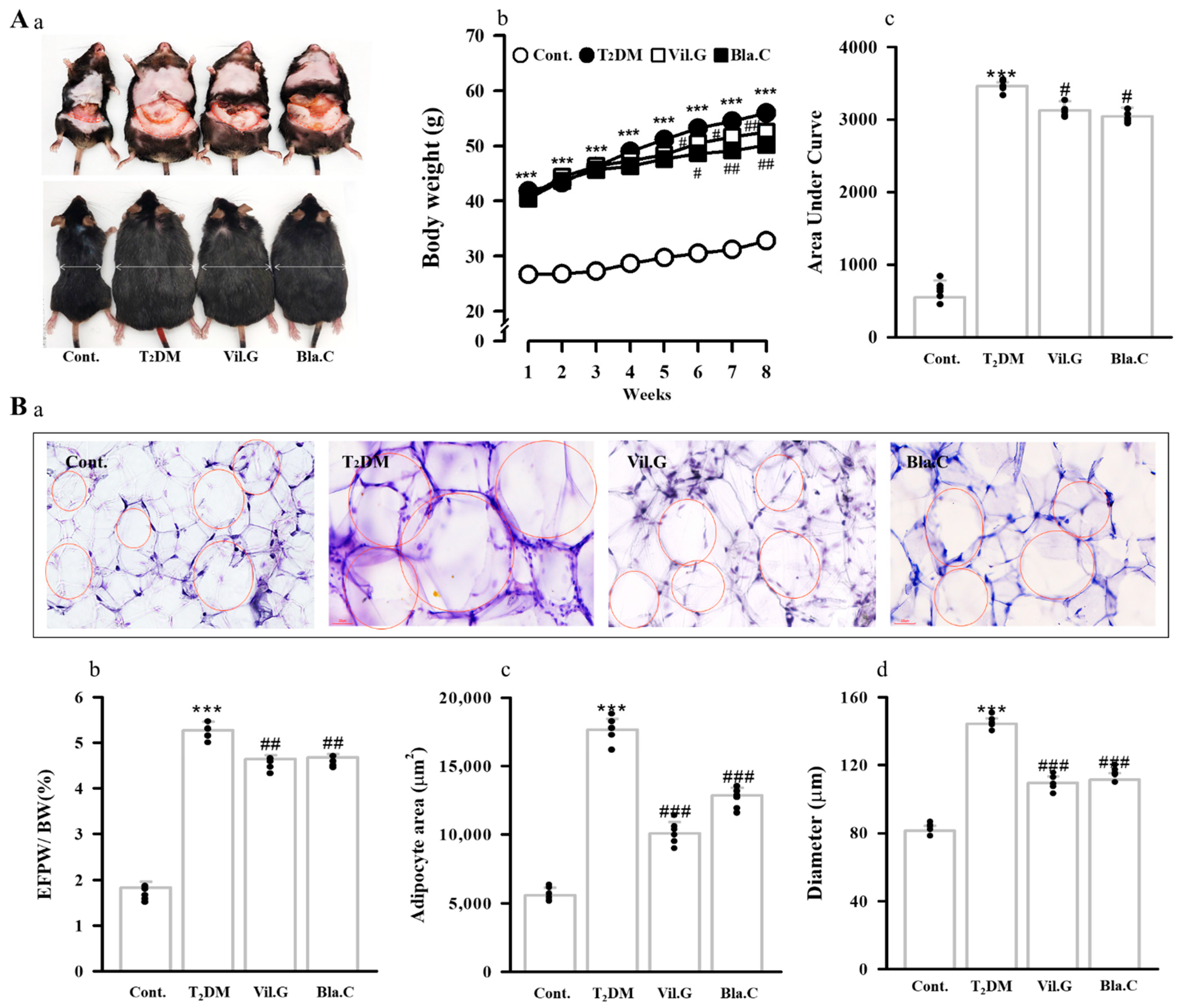 Nutrients 13 04177 g002