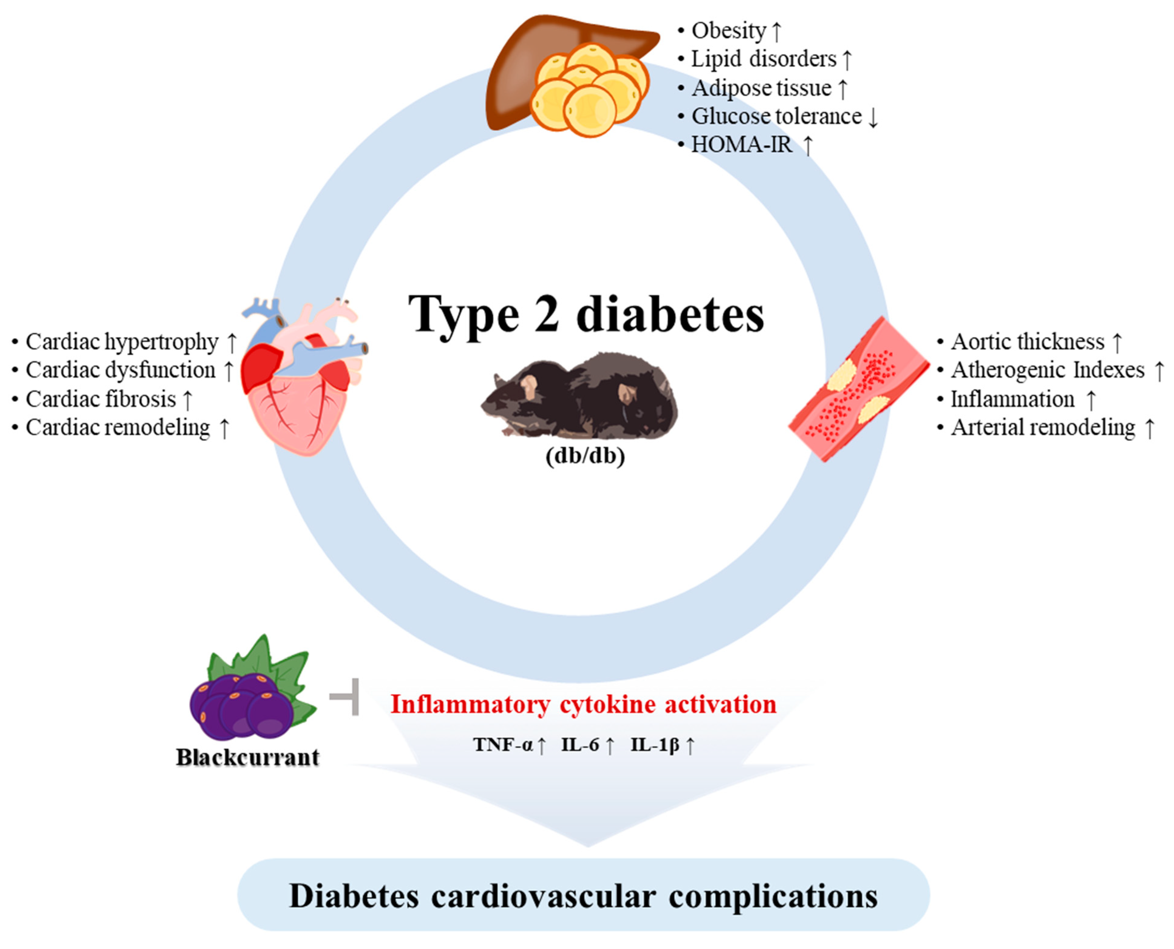 Nutrients 13 04177 g009
