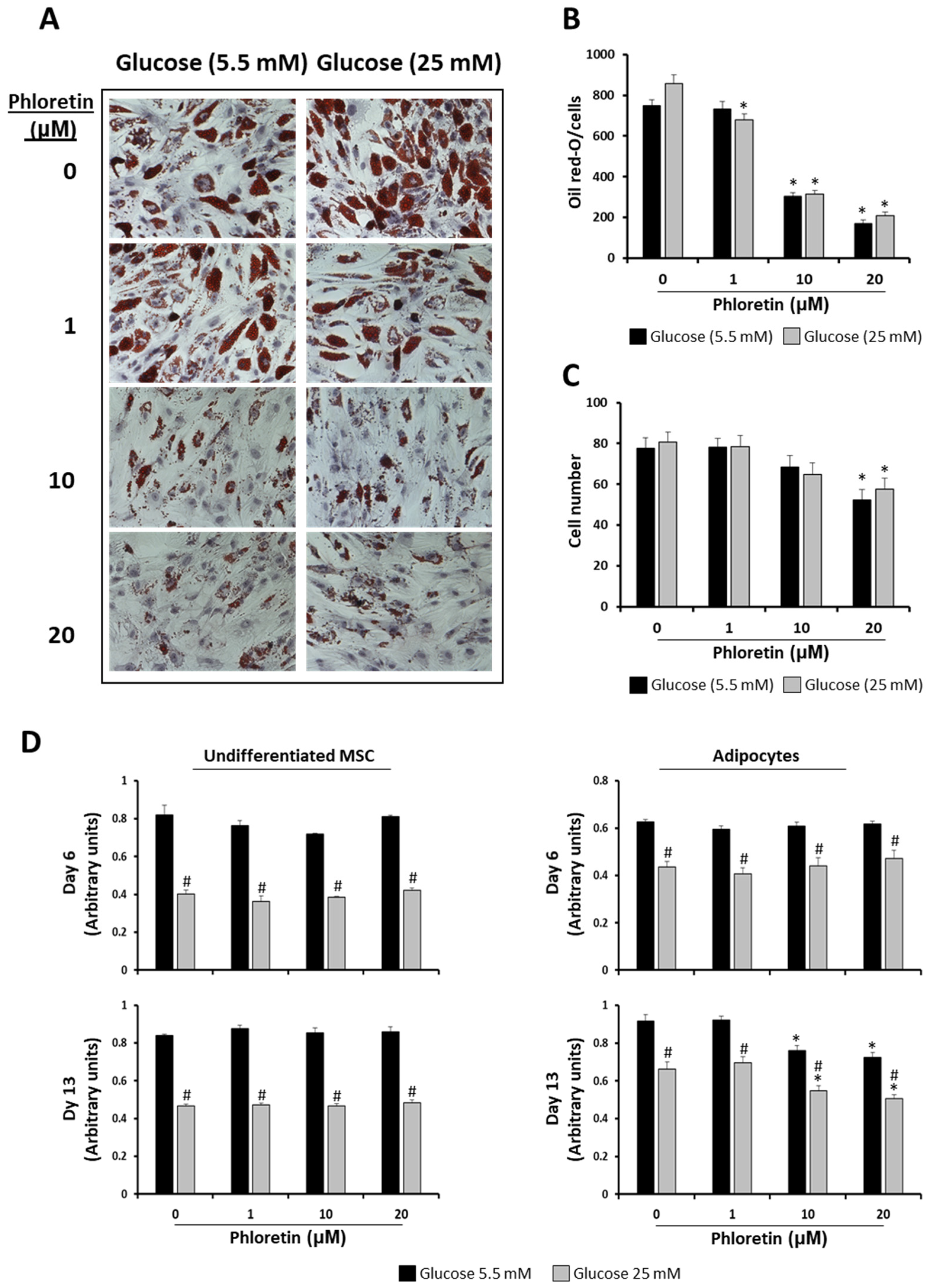 Nutrients 13 04185 g003