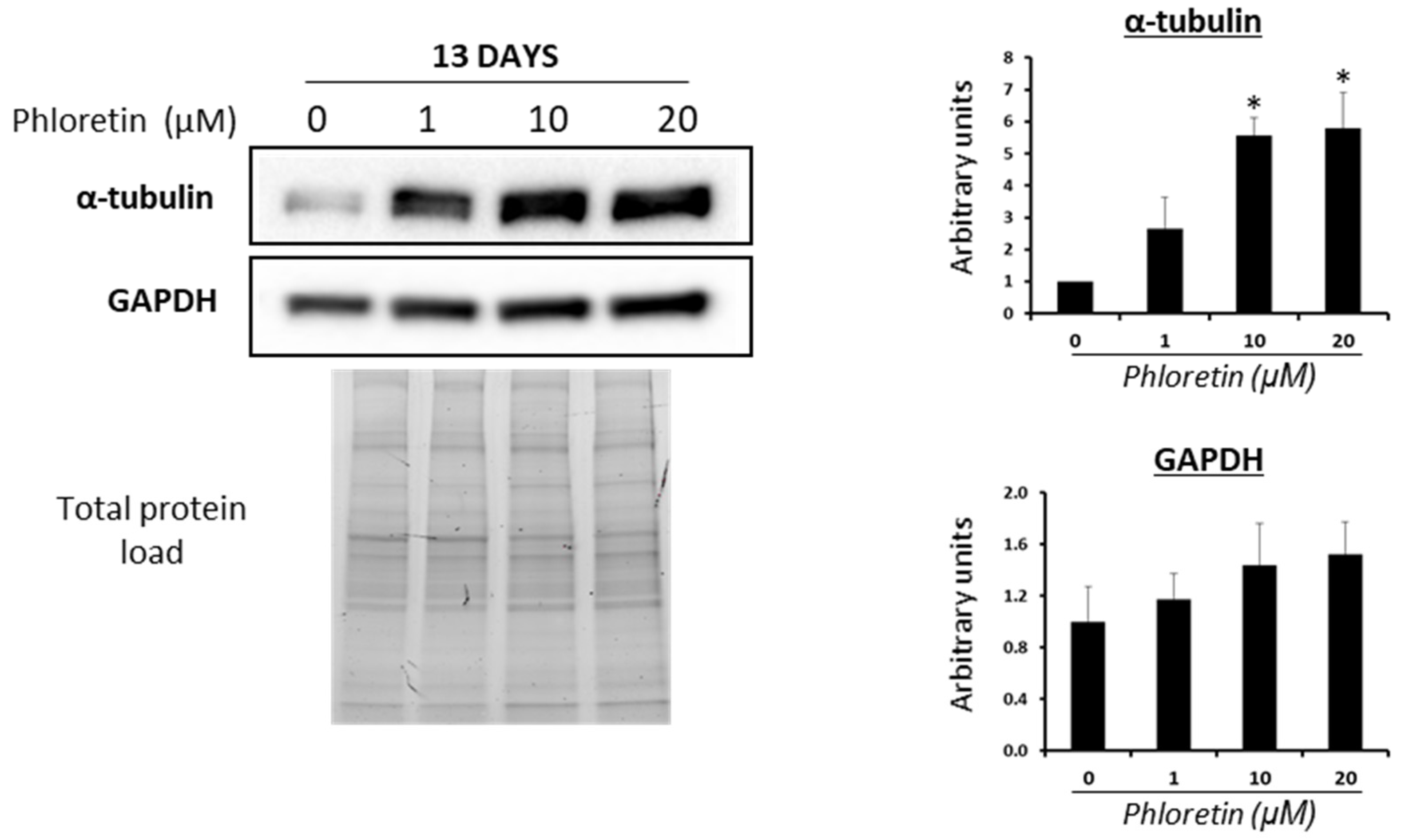 Nutrients 13 04185 g005