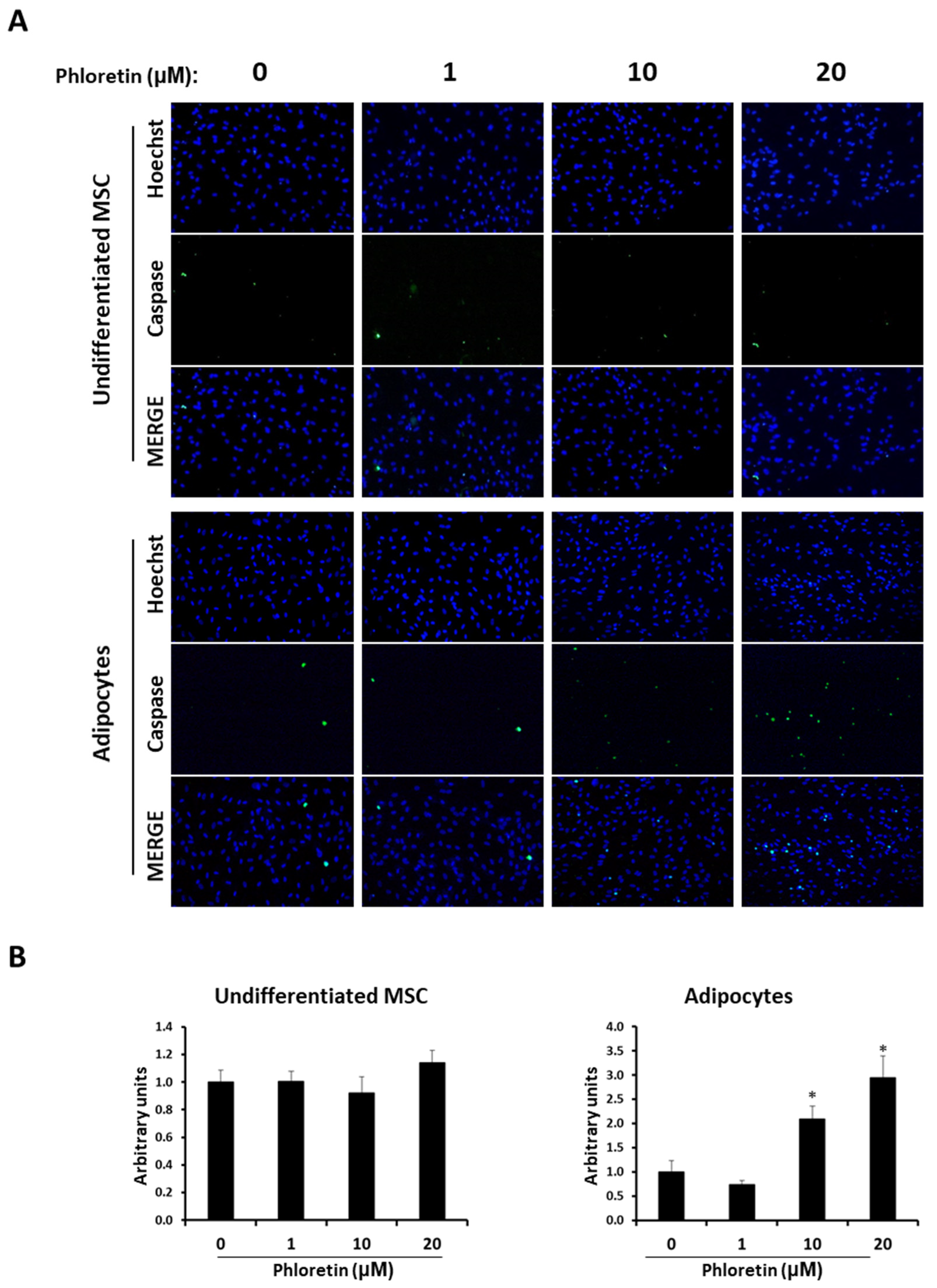 Nutrients 13 04185 g009