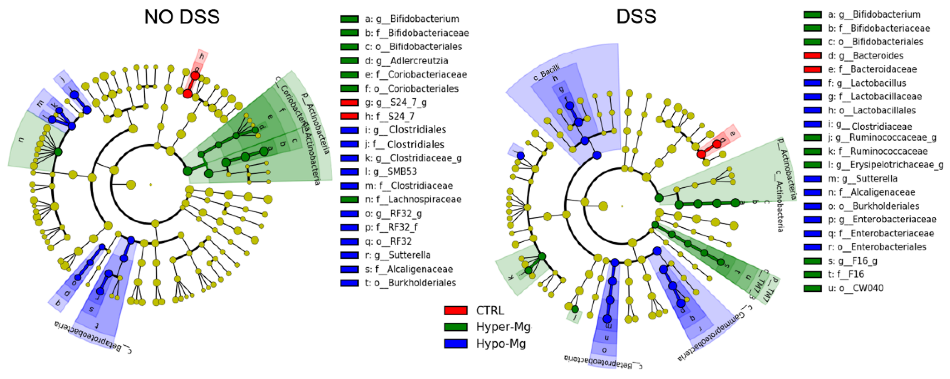 Nutrients 13 04188 g003 Nutrients 13 04188 g003
