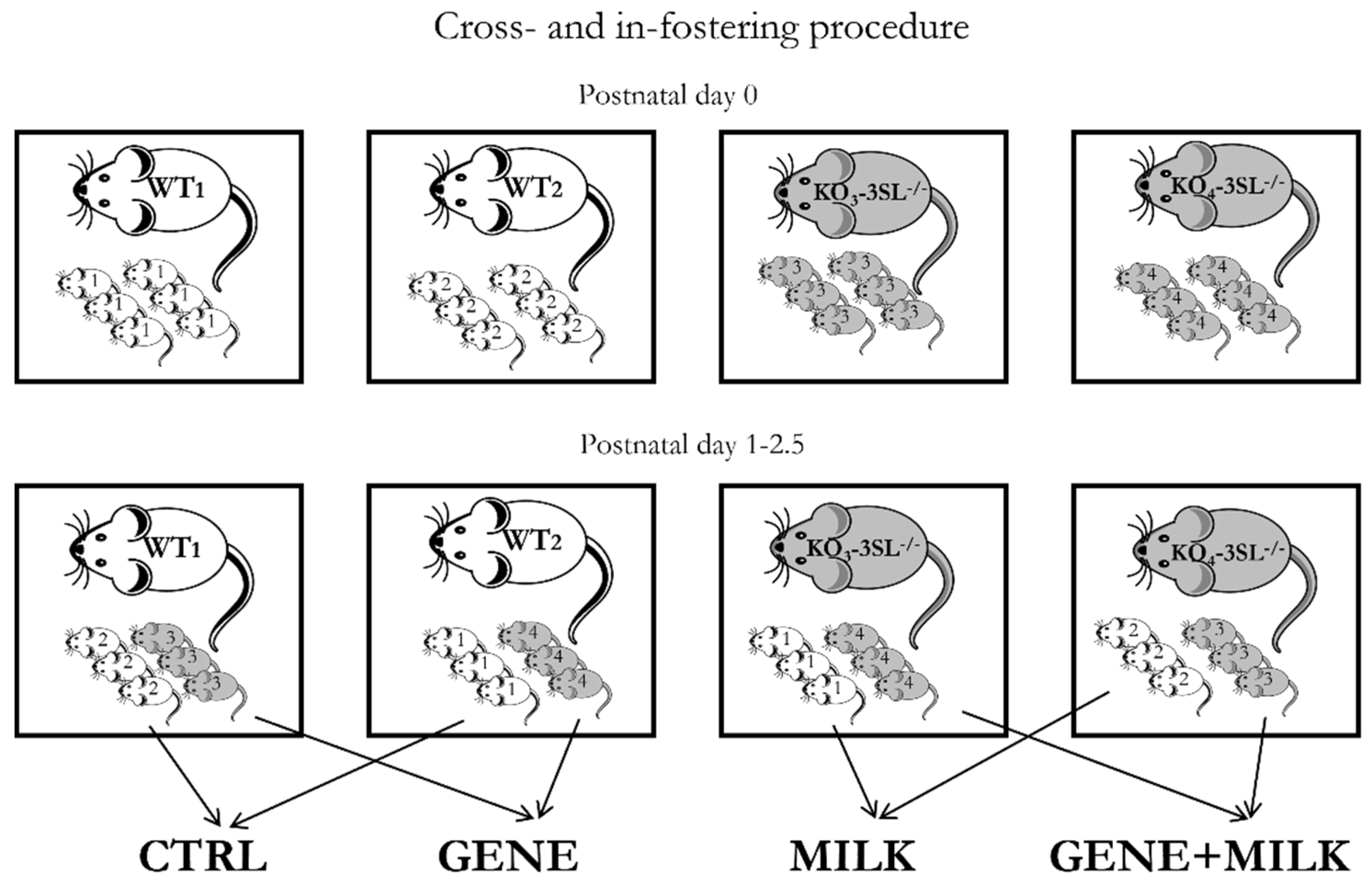 Nutrients 13 04191 g001 550