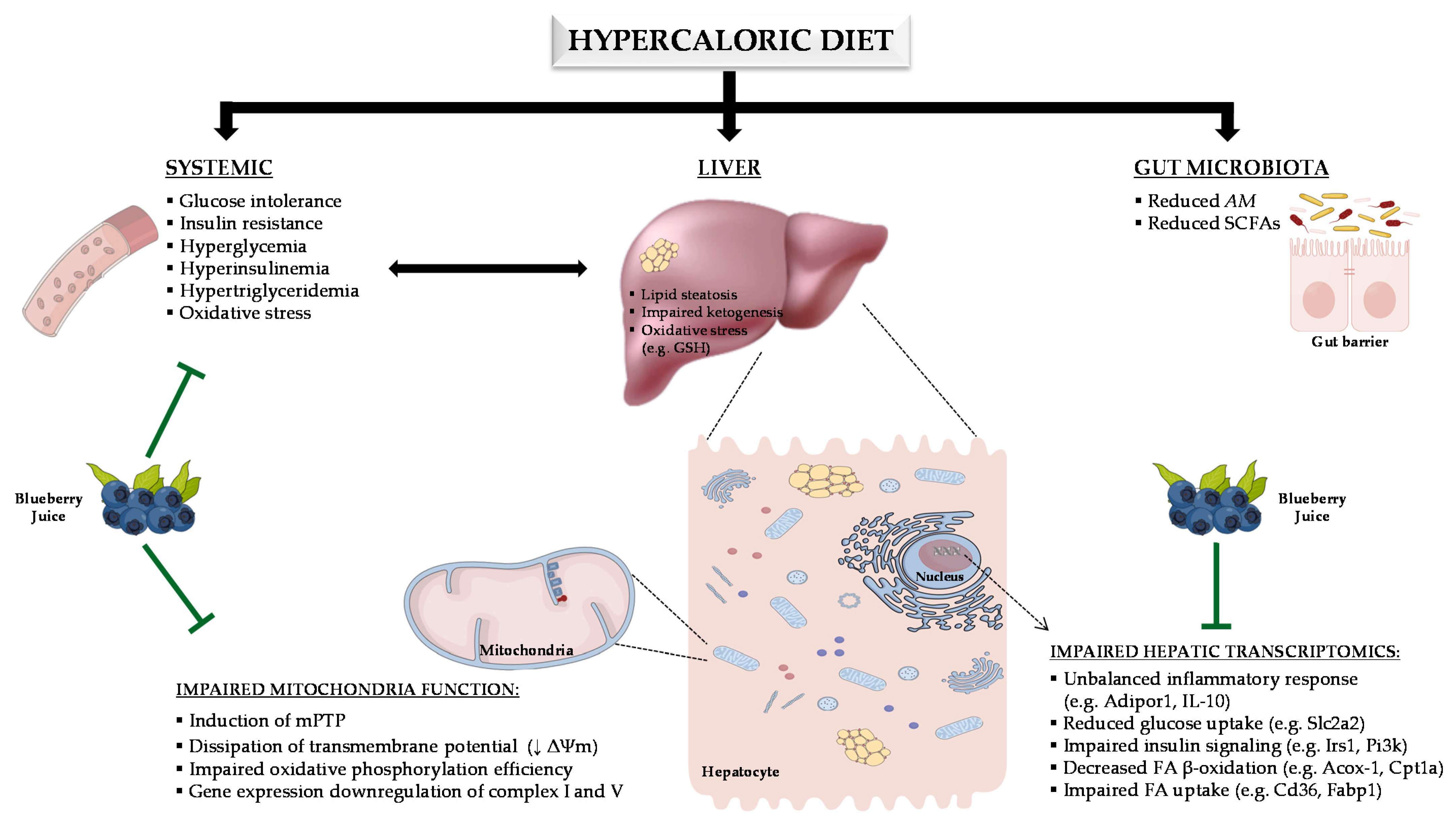 Nutrients 13 04192 g009