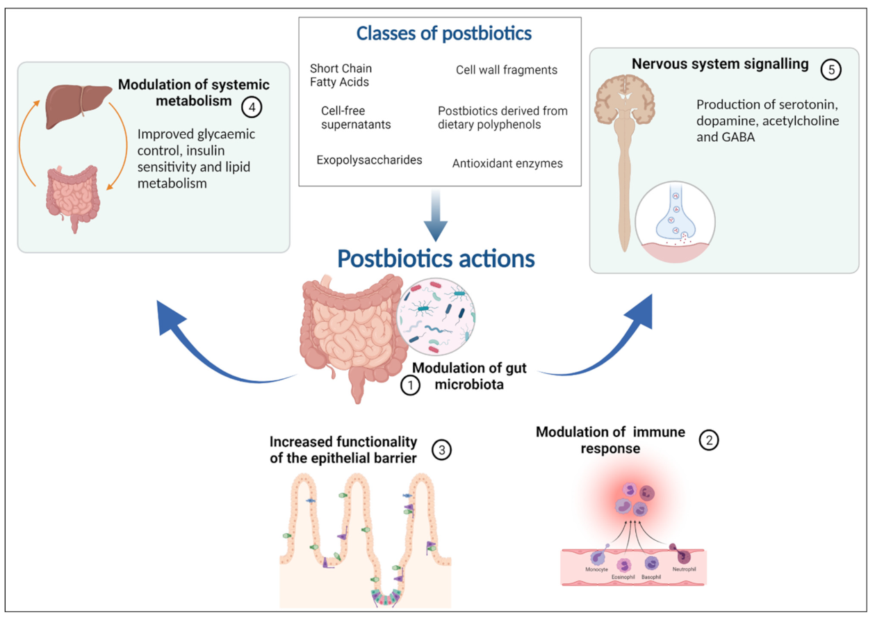 Nutrients 13 04200 g001 Nutrients 13 04200 g001