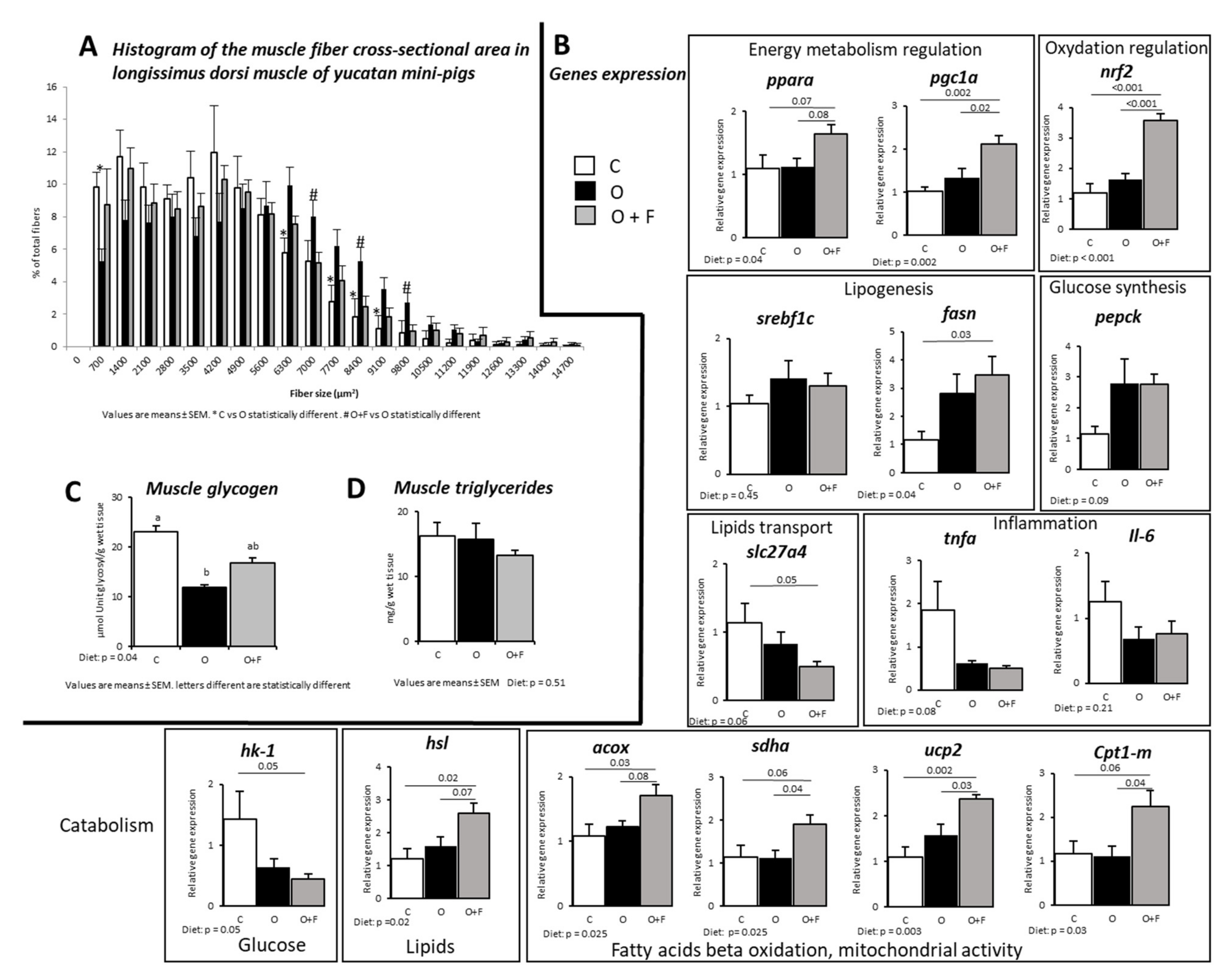 Nutrients 13 04202 g001 Nutrients 13 04202 g001
