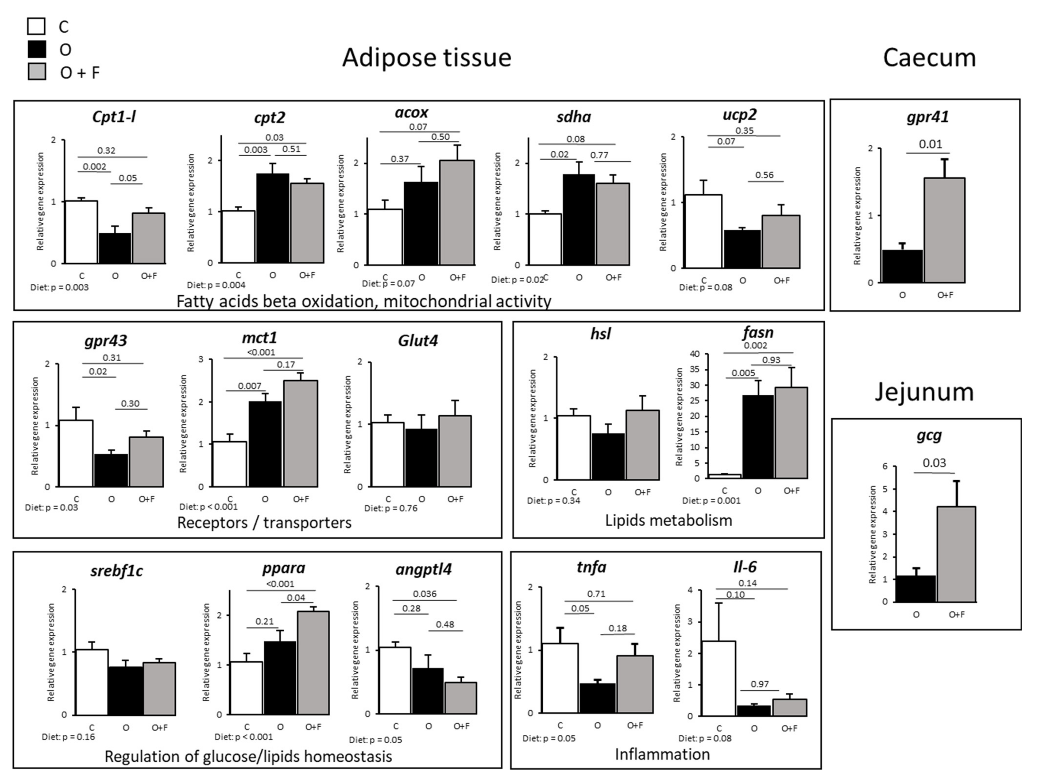 Nutrients 13 04202 g002 Nutrients 13 04202 g002
