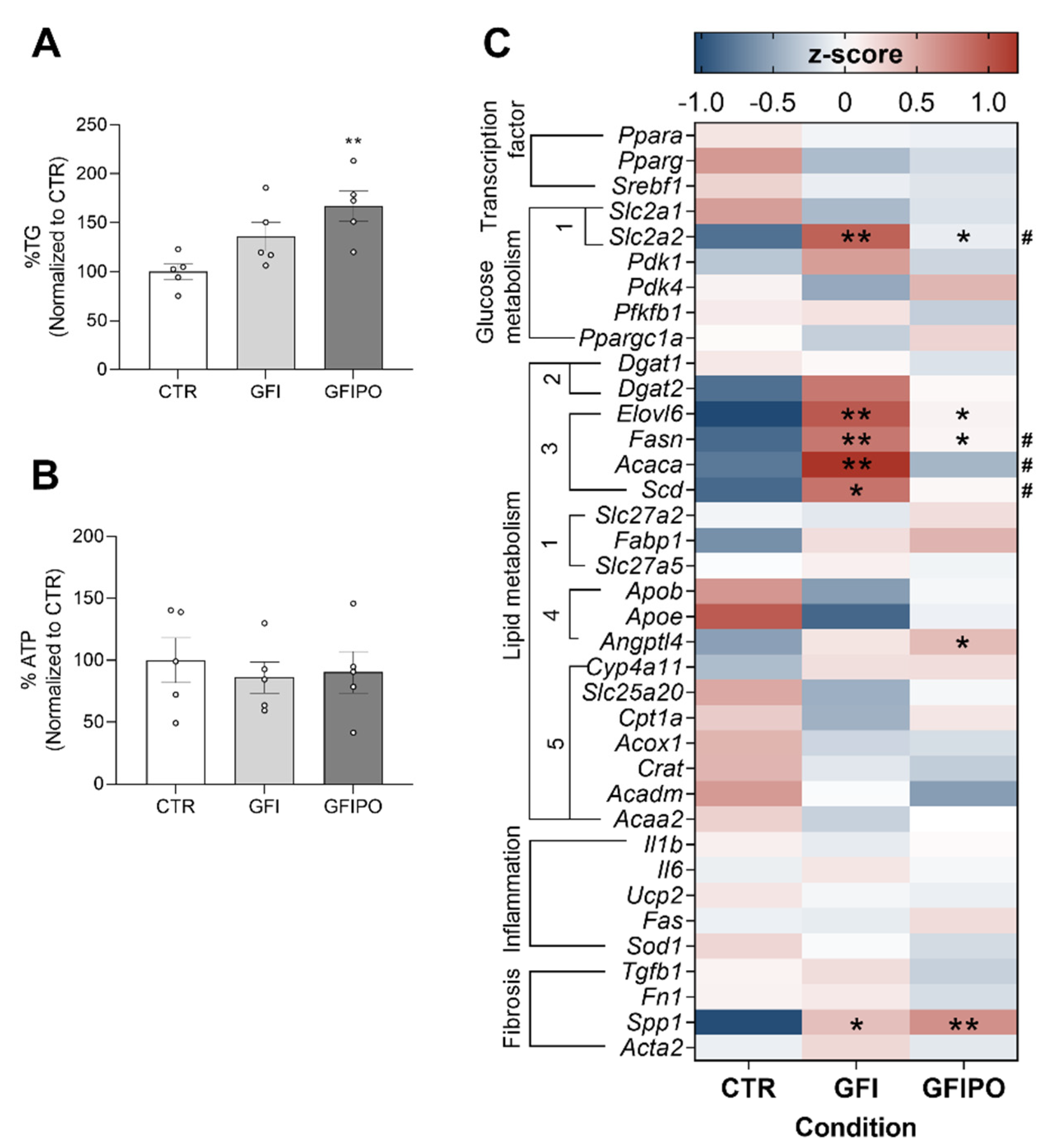 Nutrients 13 04203 g001