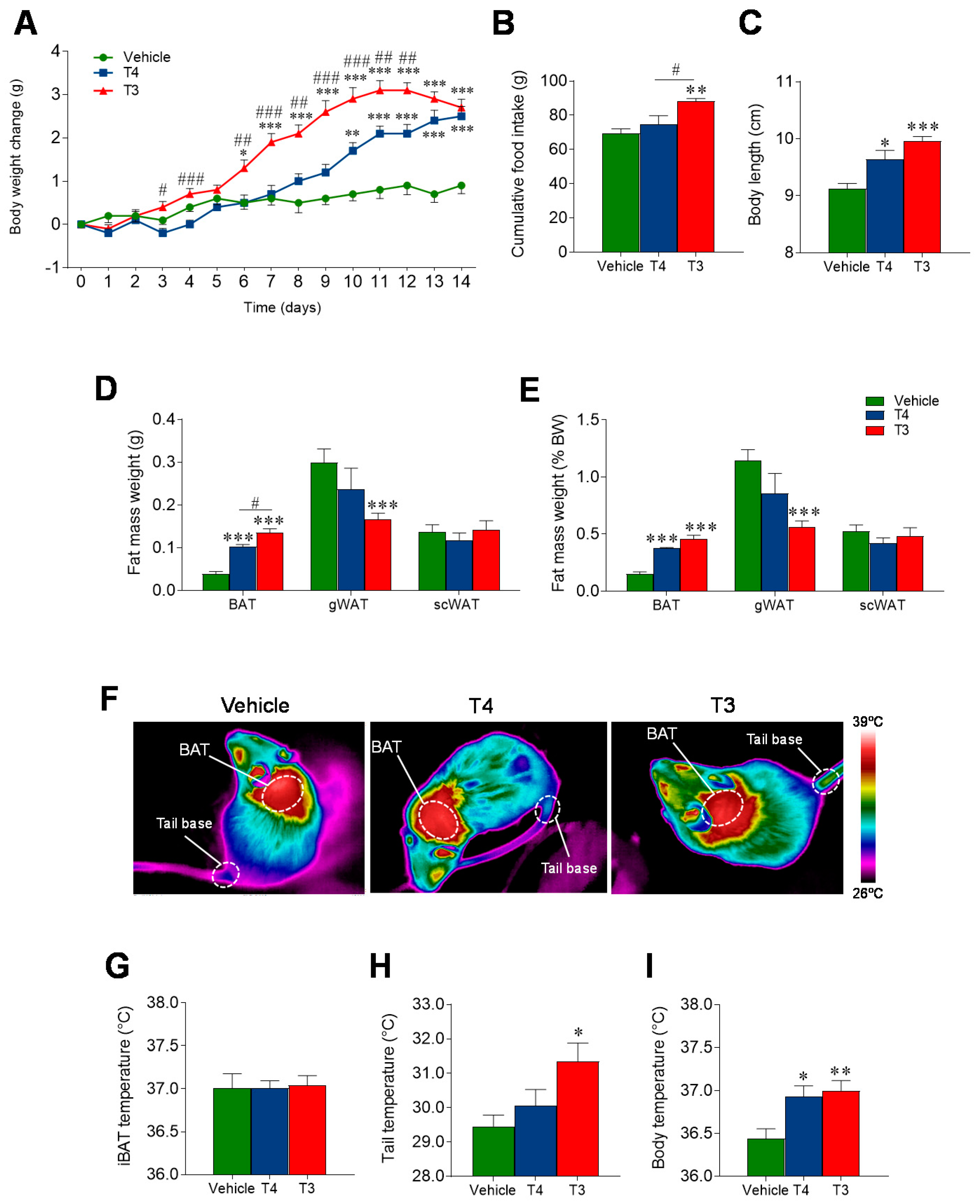 Nutrients 13 04204 g003 Nutrients 13 04204 g003