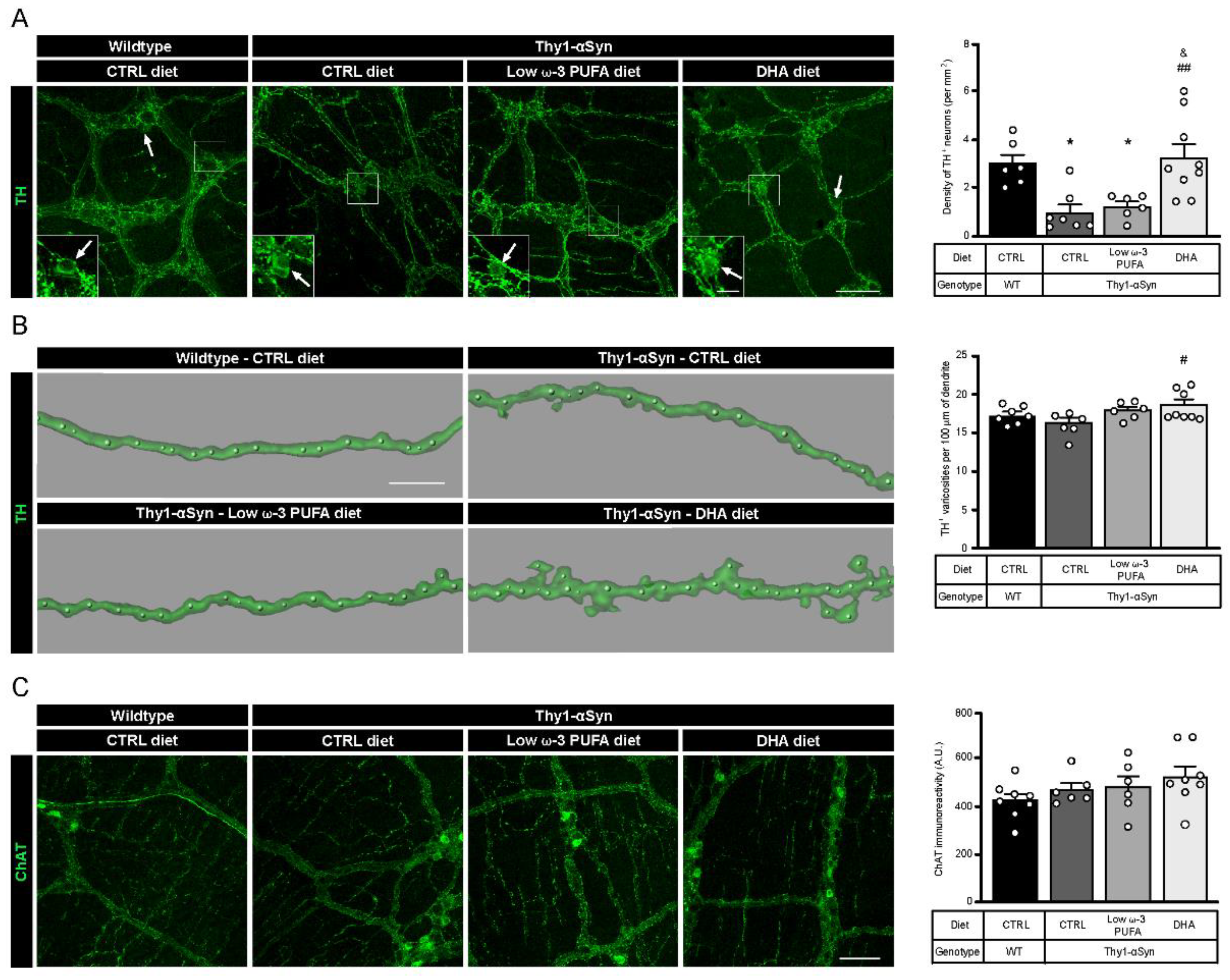 Nutrients 13 04218 g001