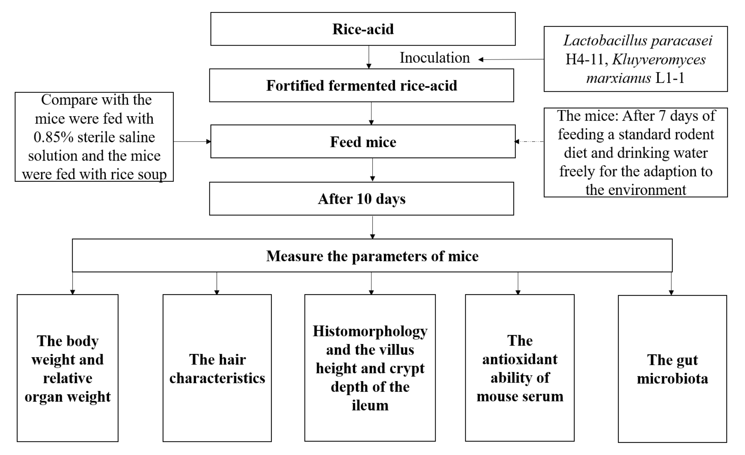 Nutrients 13 04219 g001
