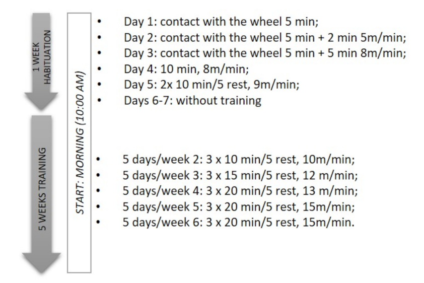Nutrients 13 04242 g001 Nutrients 13 04242 g001