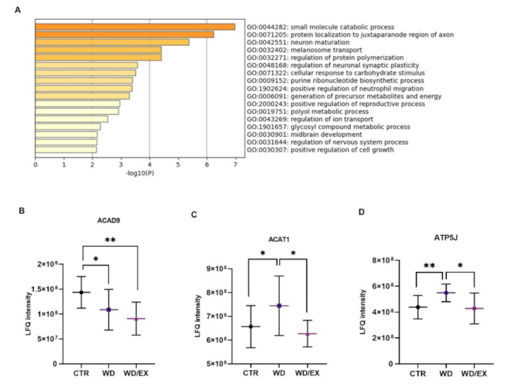Nutrients 13 04242 g003 Nutrients 13 04242 g003