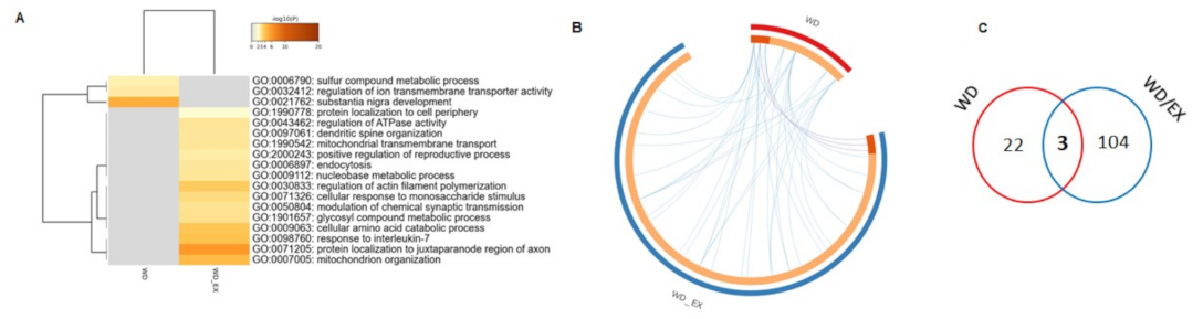 Nutrients 13 04242 g004 Nutrients 13 04242 g004