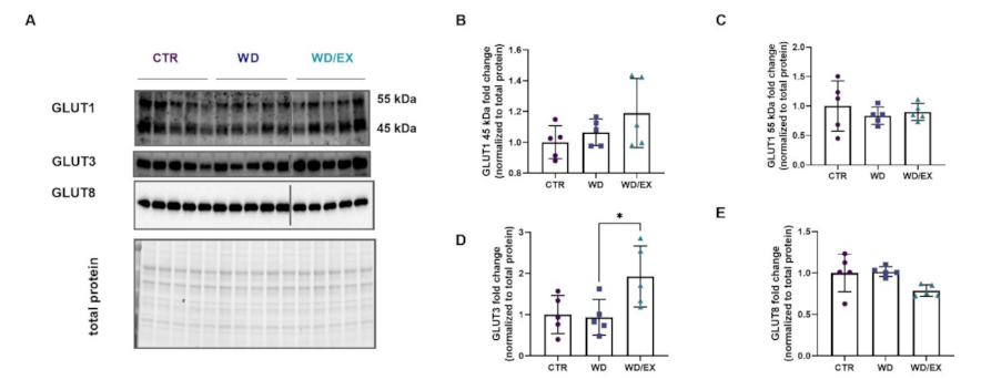 Nutrients 13 04242 g007 Nutrients 13 04242 g007