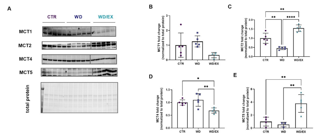 Nutrients 13 04242 g008 Nutrients 13 04242 g008