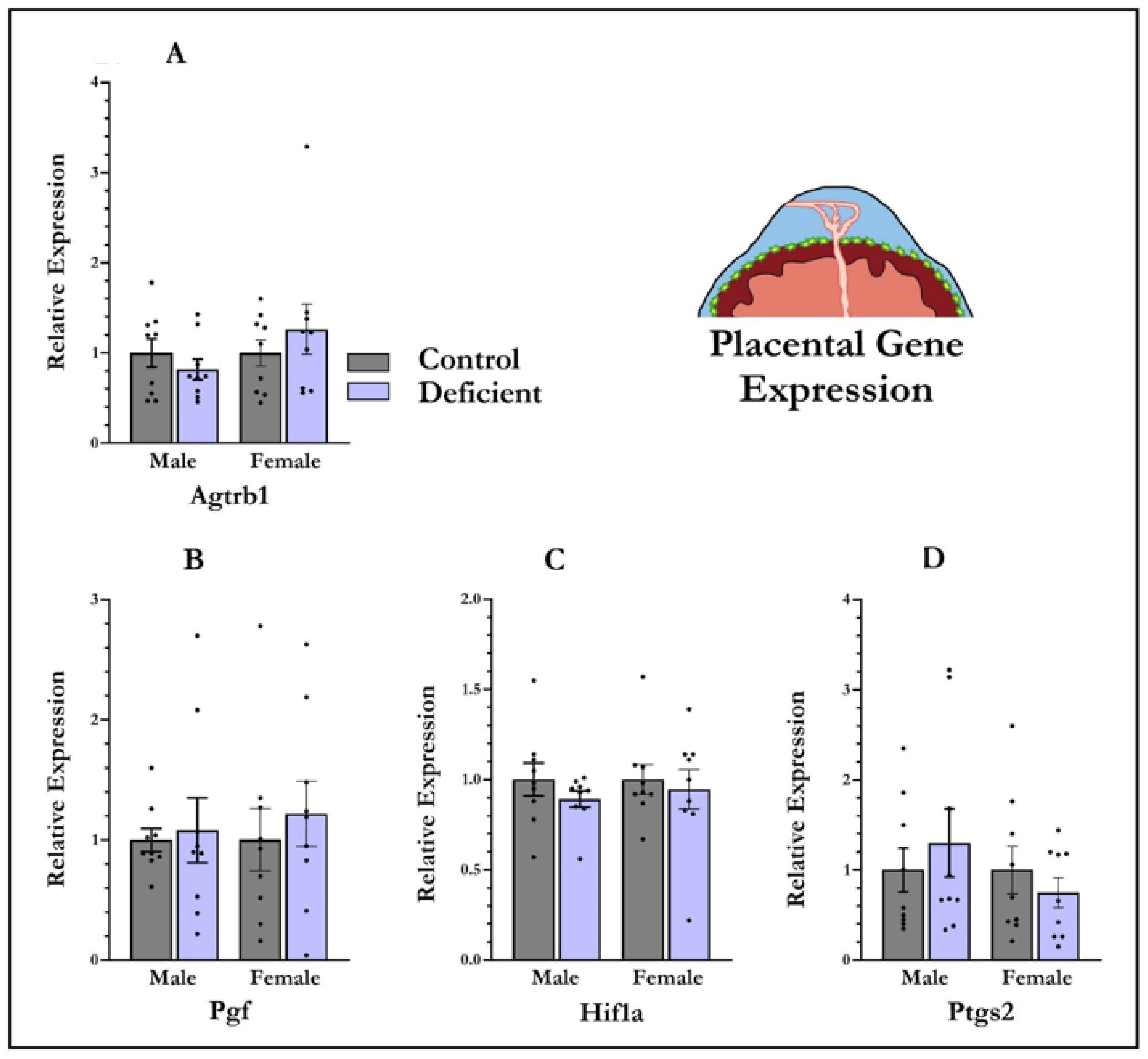 Nutrients 13 04254 g003 Nutrients 13 04254 g003