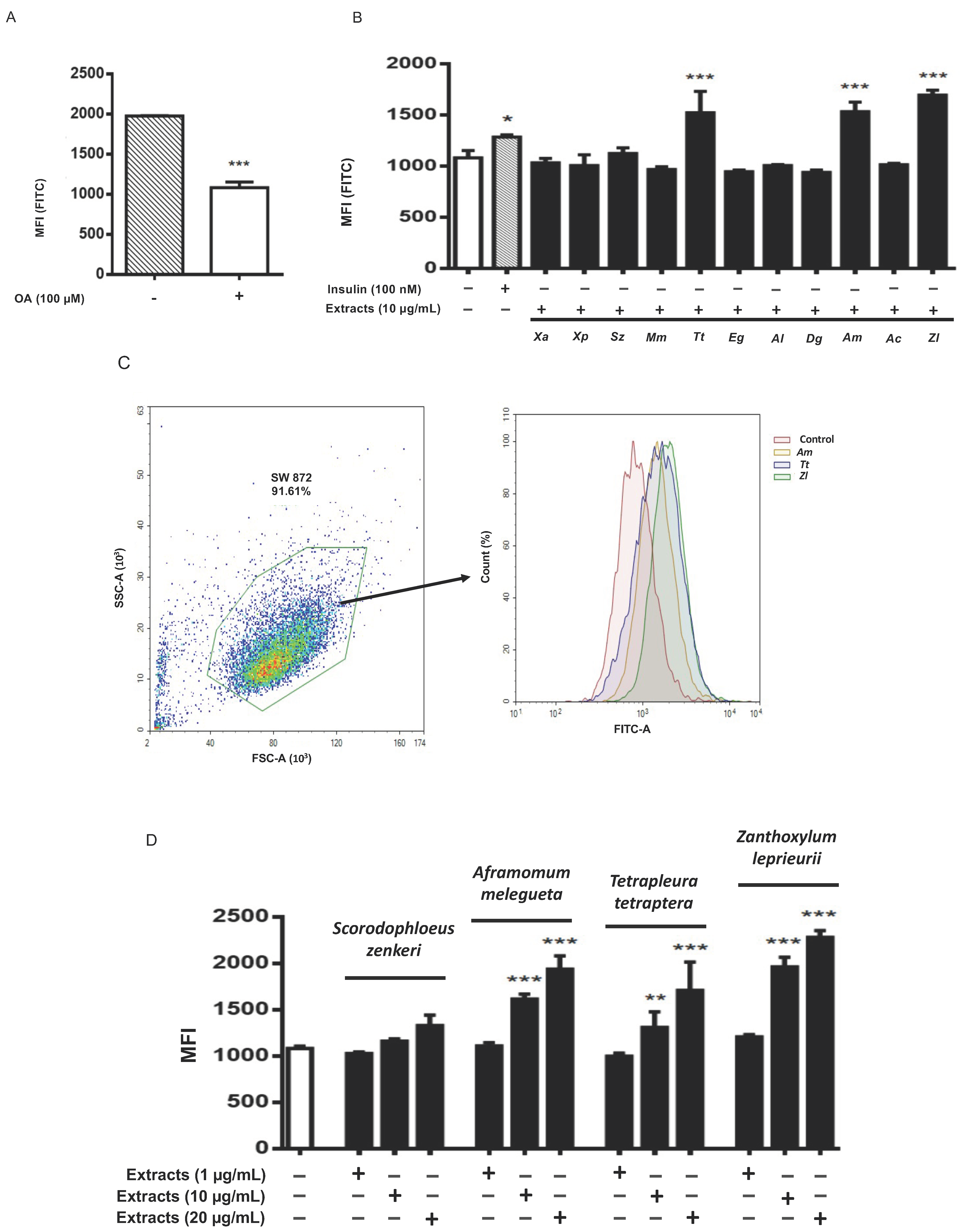 Nutrients 13 04271 g002 Nutrients 13 04271 g002