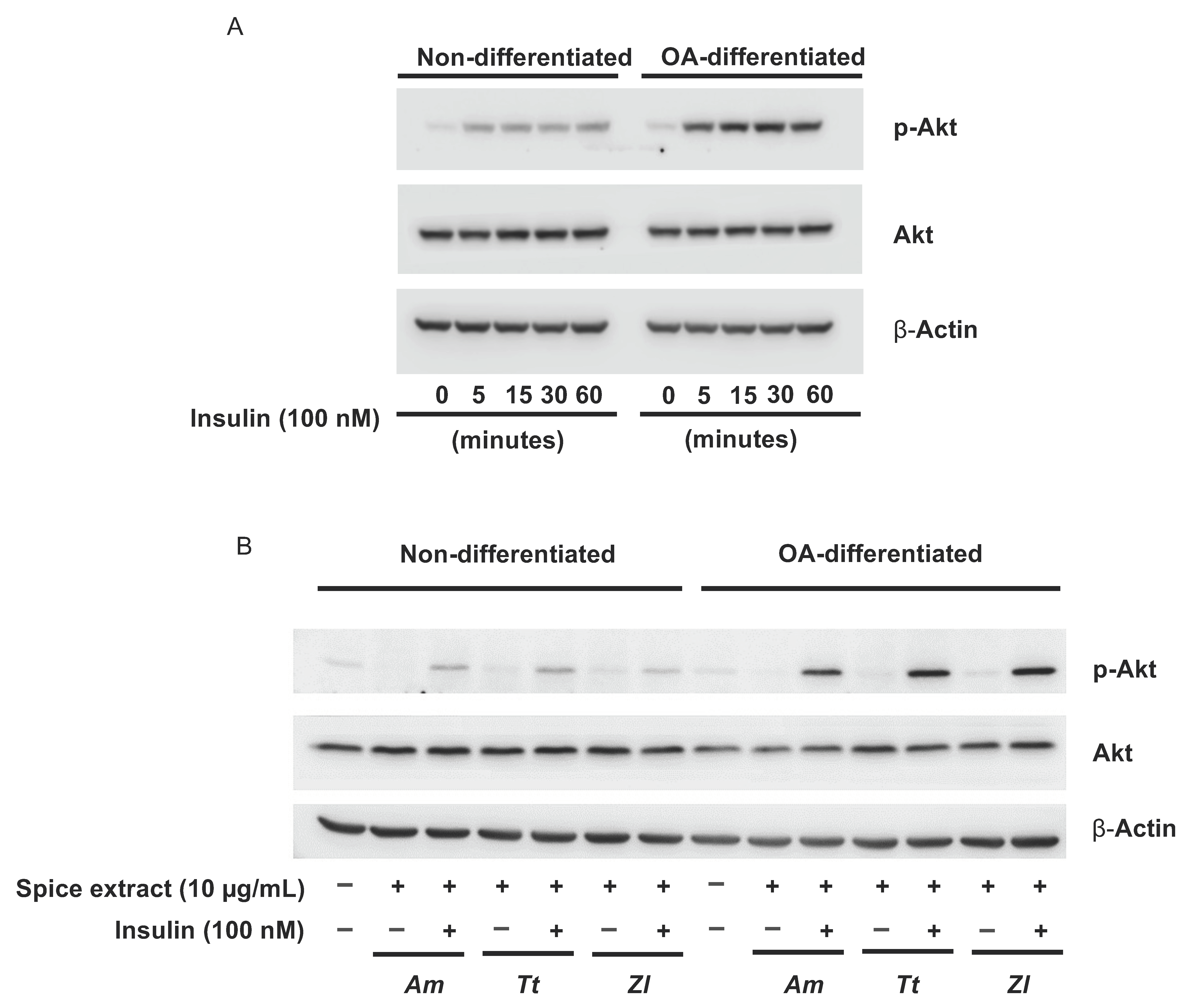 Nutrients 13 04271 g003 Nutrients 13 04271 g003