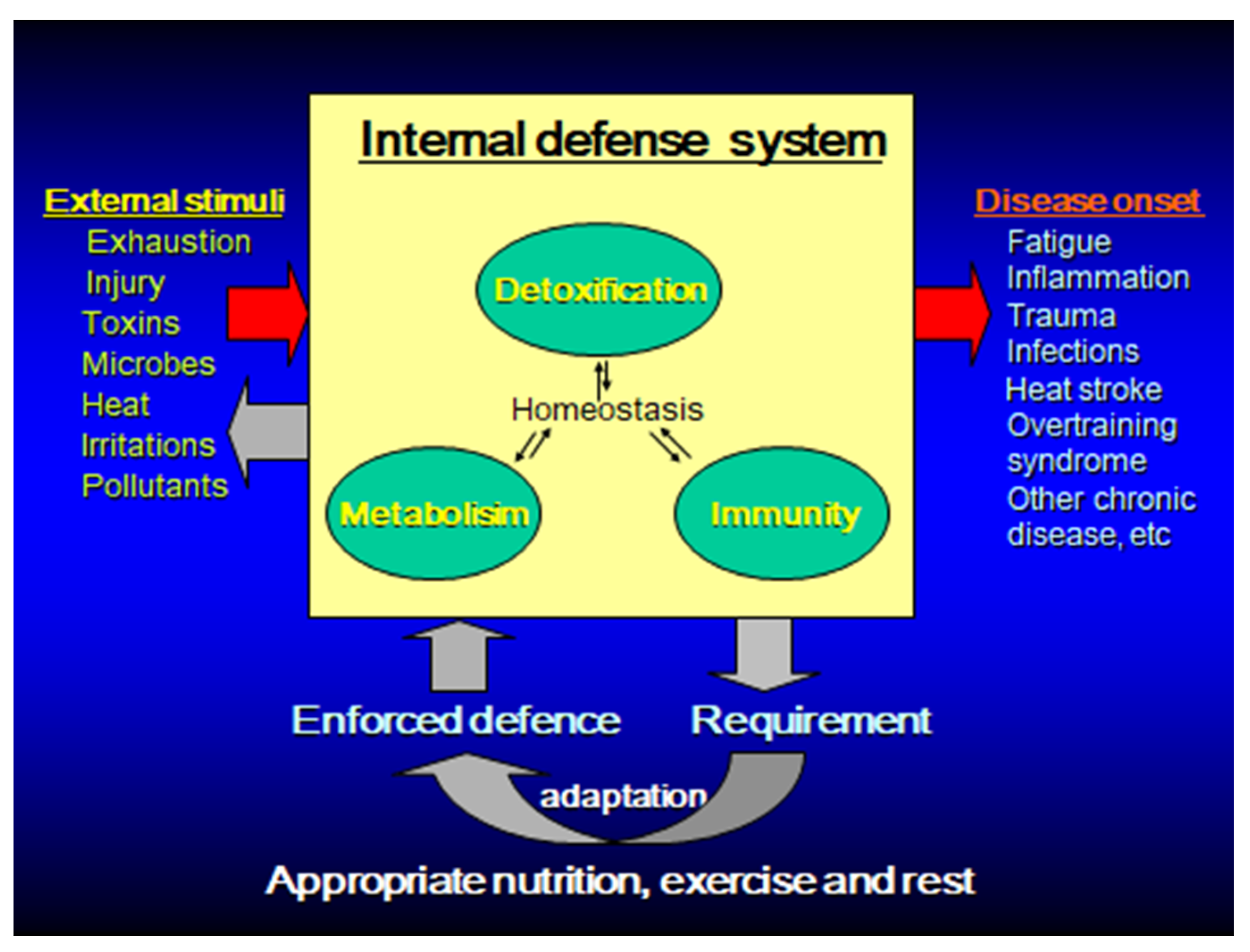 Nutrients 13 04299 g001