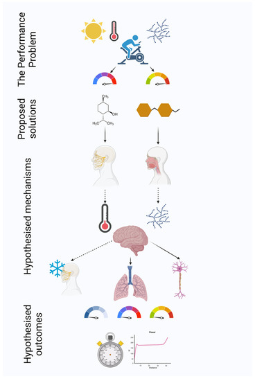 Nutrients | Free Full-Text | The Effect of Isolated and Combined ...