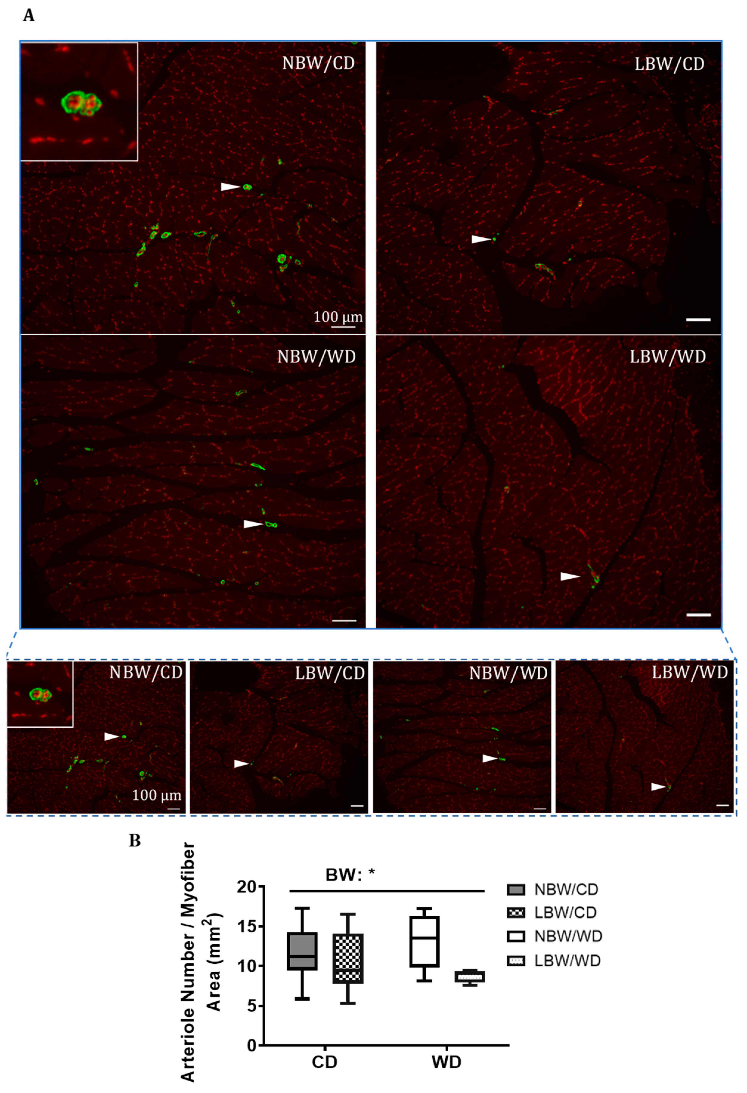 Nutrients 13 04315 g003
