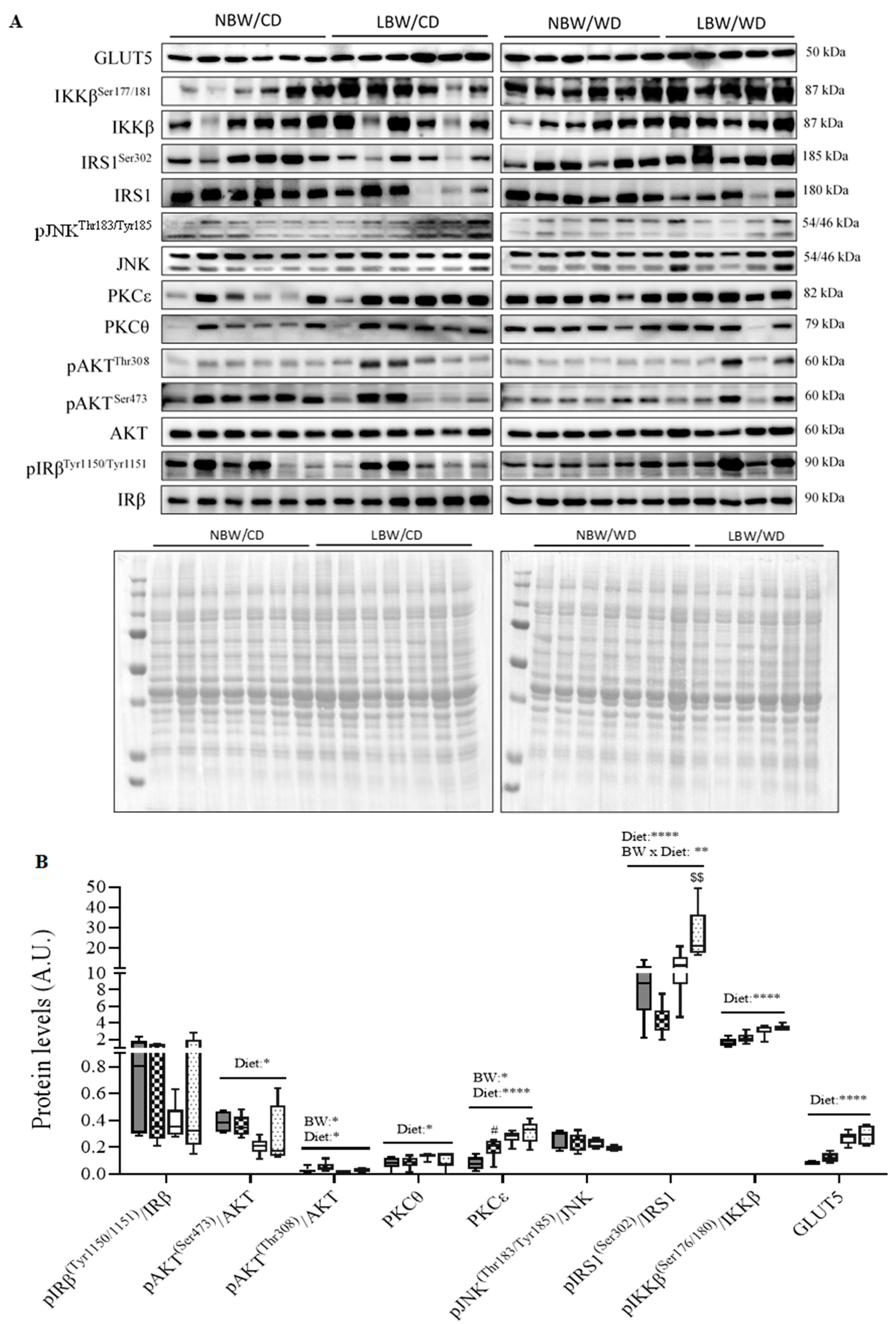 Nutrients 13 04315 g010