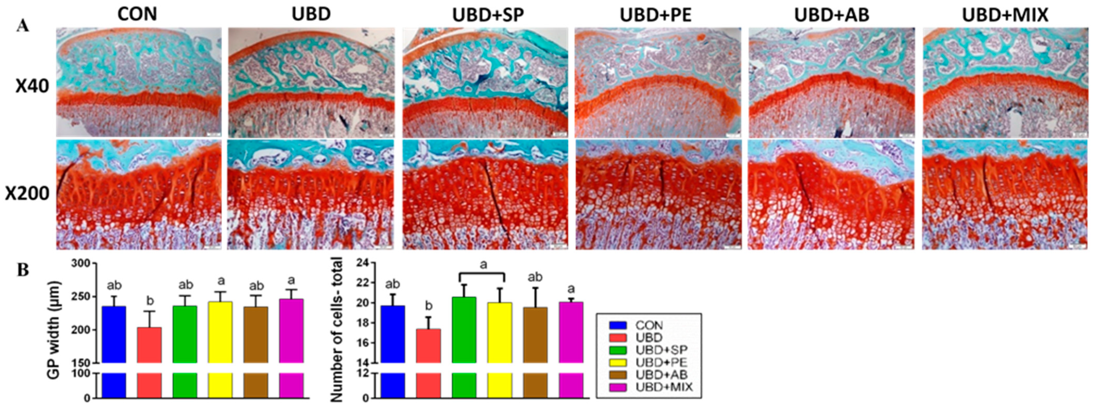 Nutrients 13 04316 g002