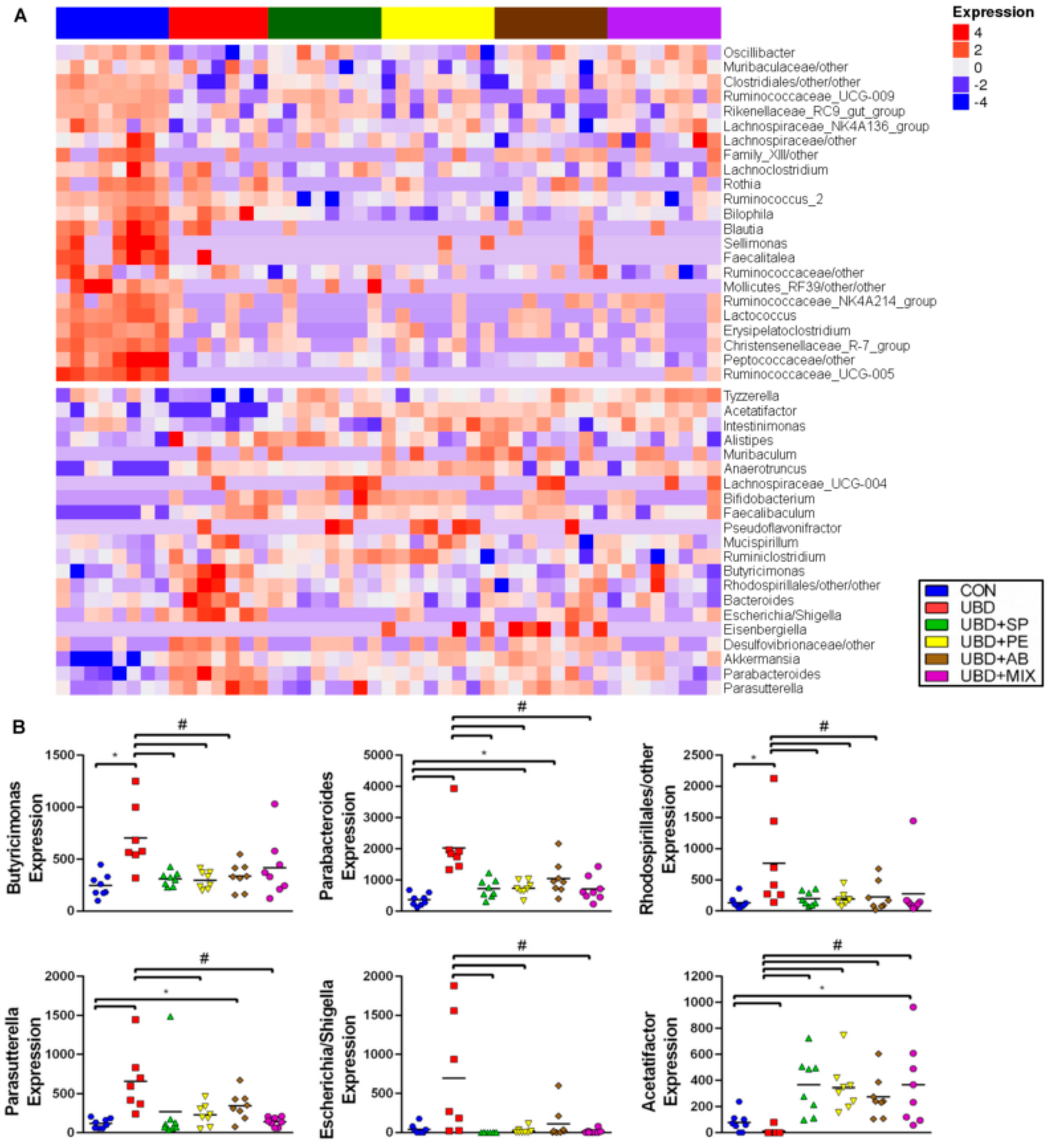 Nutrients 13 04316 g008