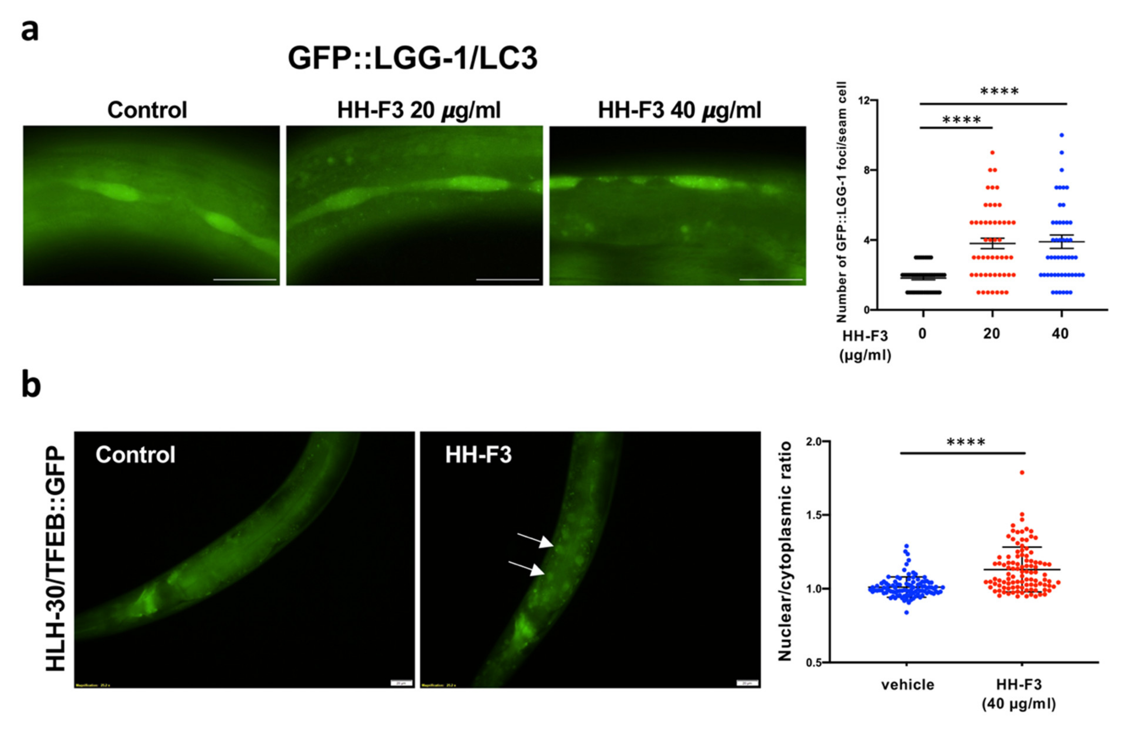 Nutrients 13 04317 g005 Nutrients 13 04317 g005