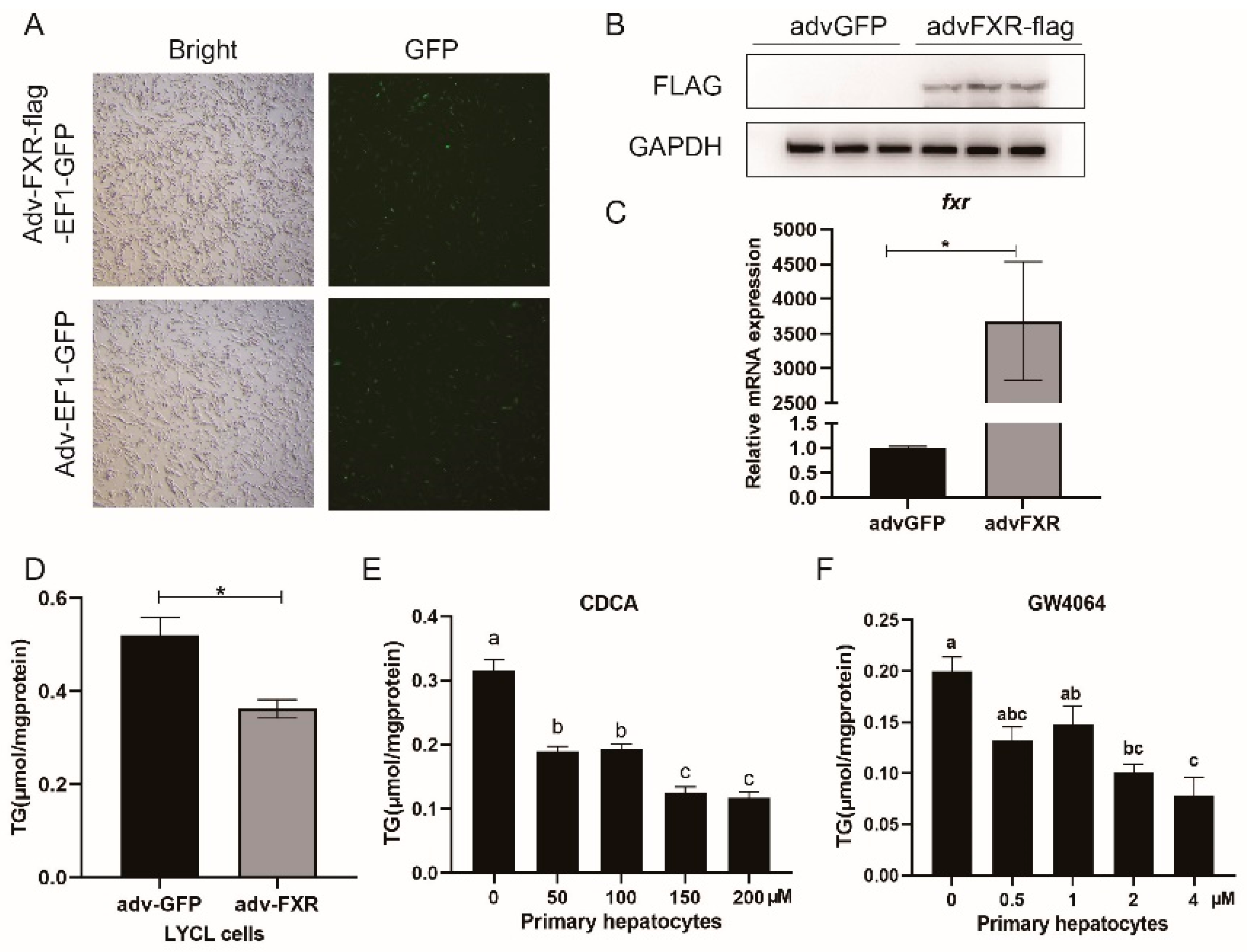 Nutrients 13 04343 g003