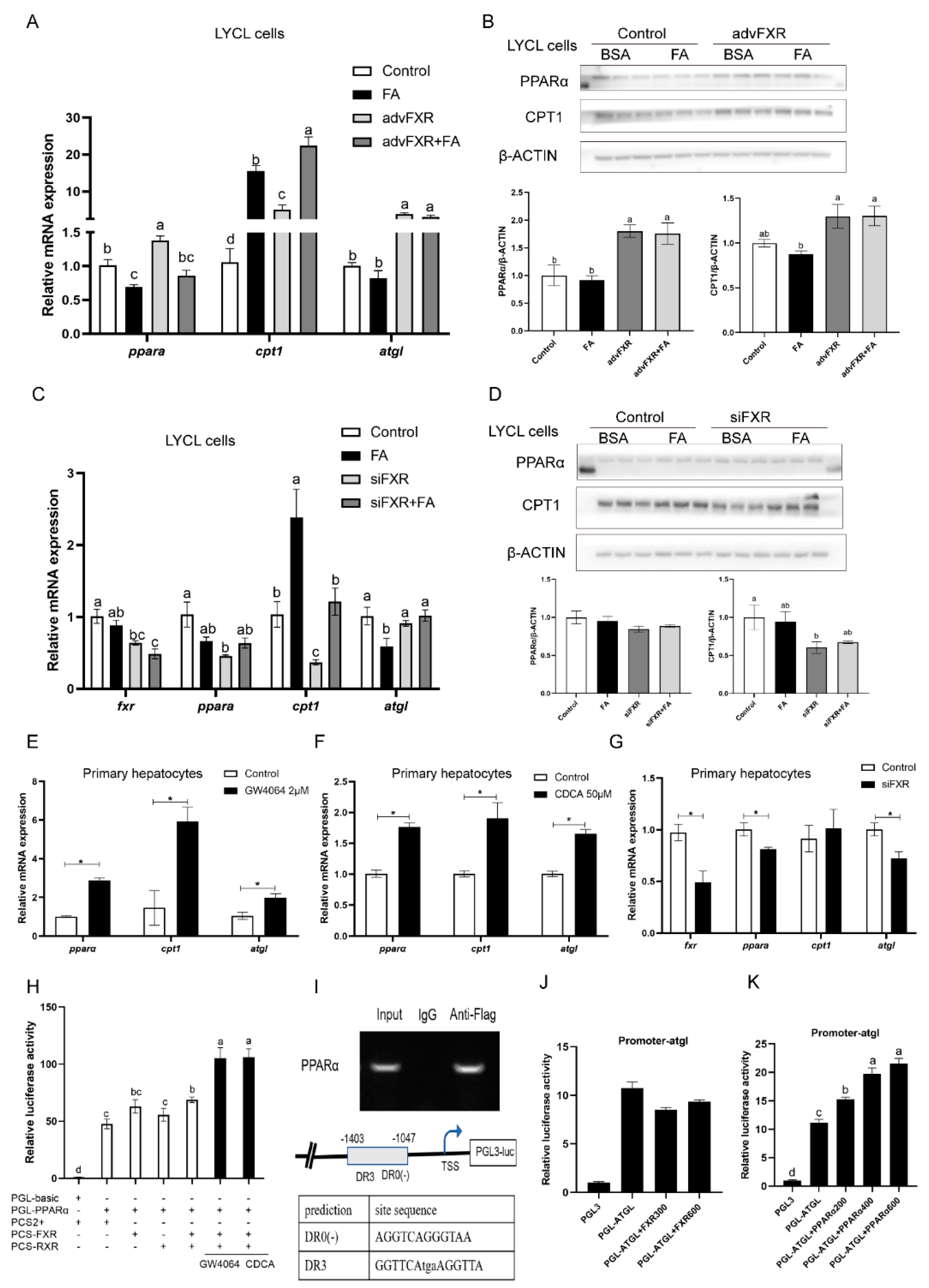Nutrients 13 04343 g004