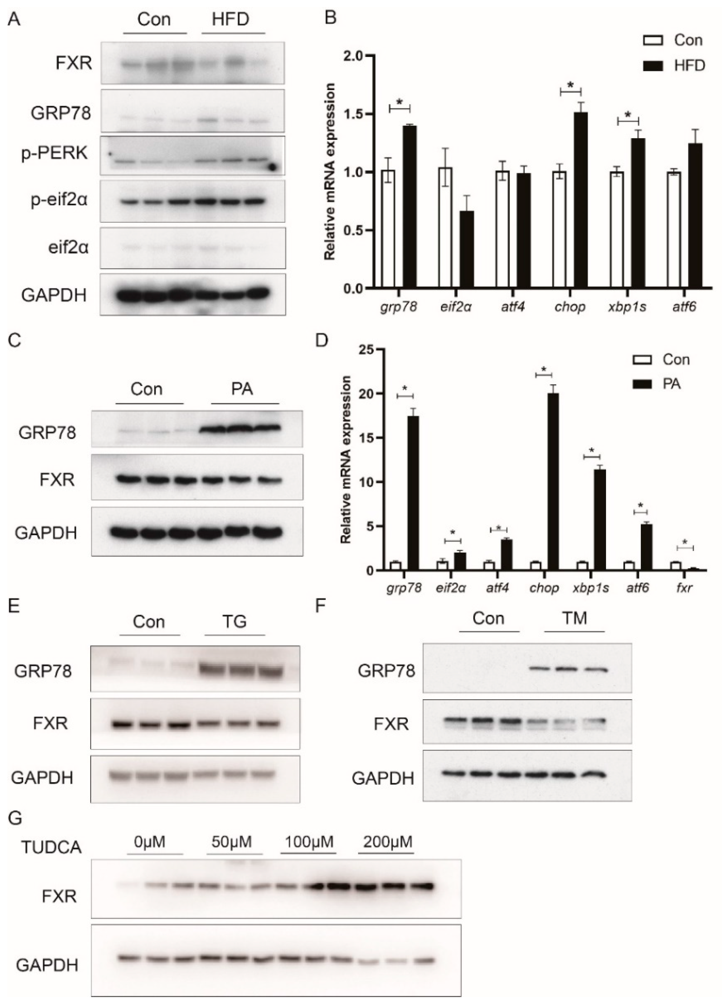 Nutrients 13 04343 g006
