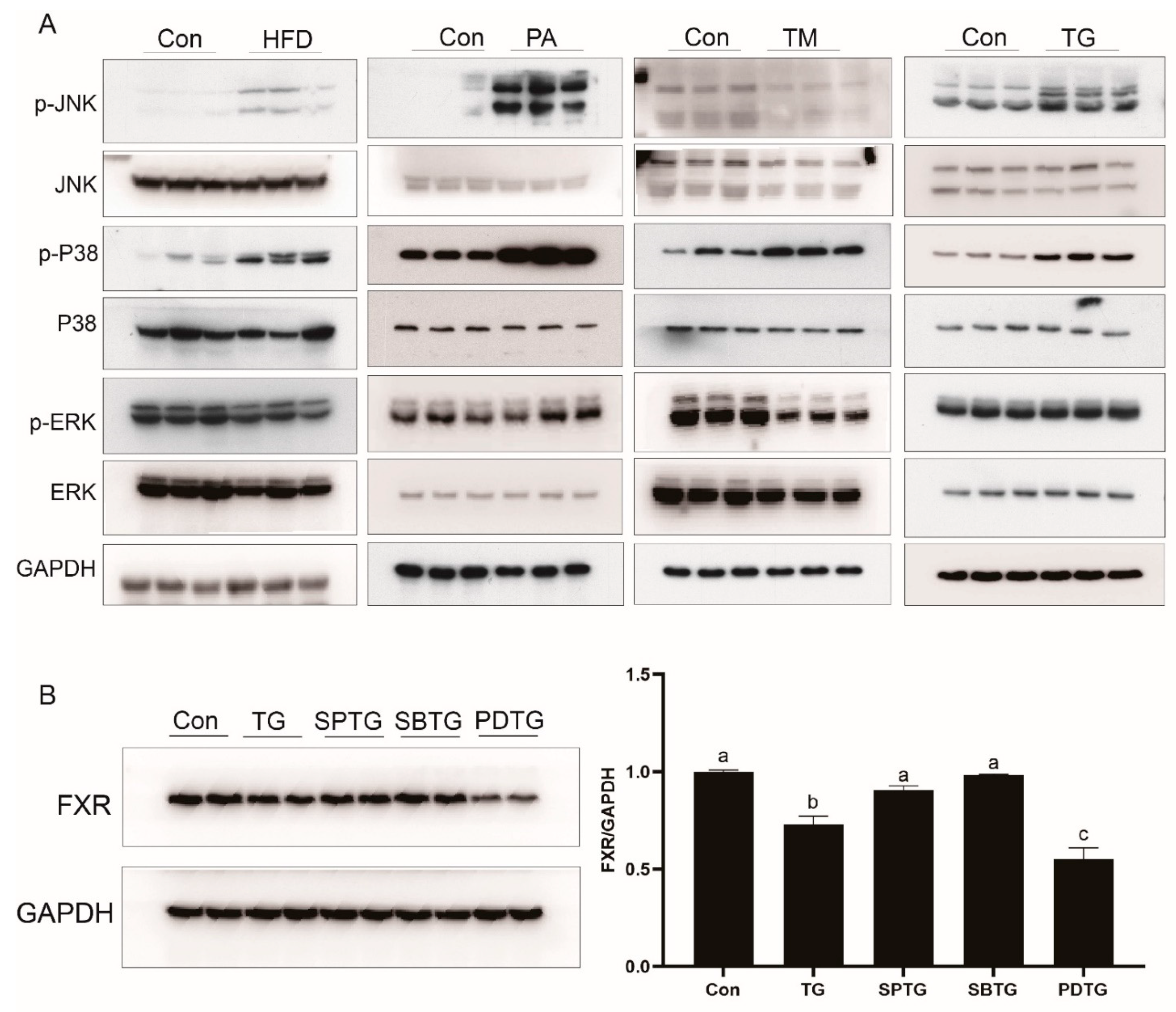 Nutrients 13 04343 g007