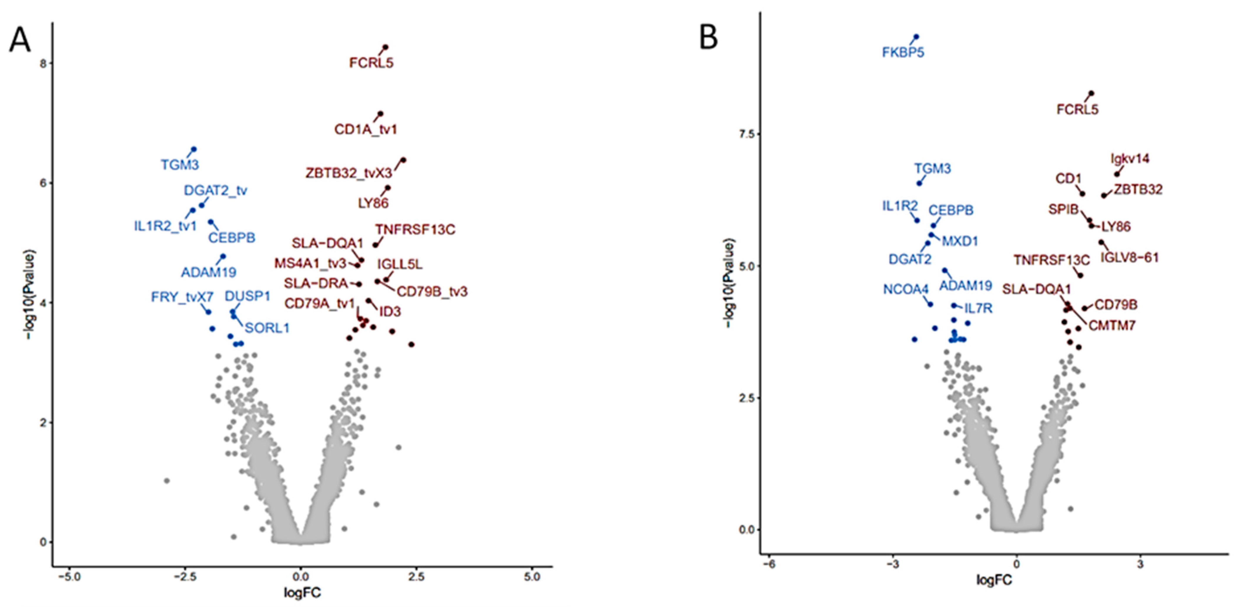 Nutrients 13 04350 g002