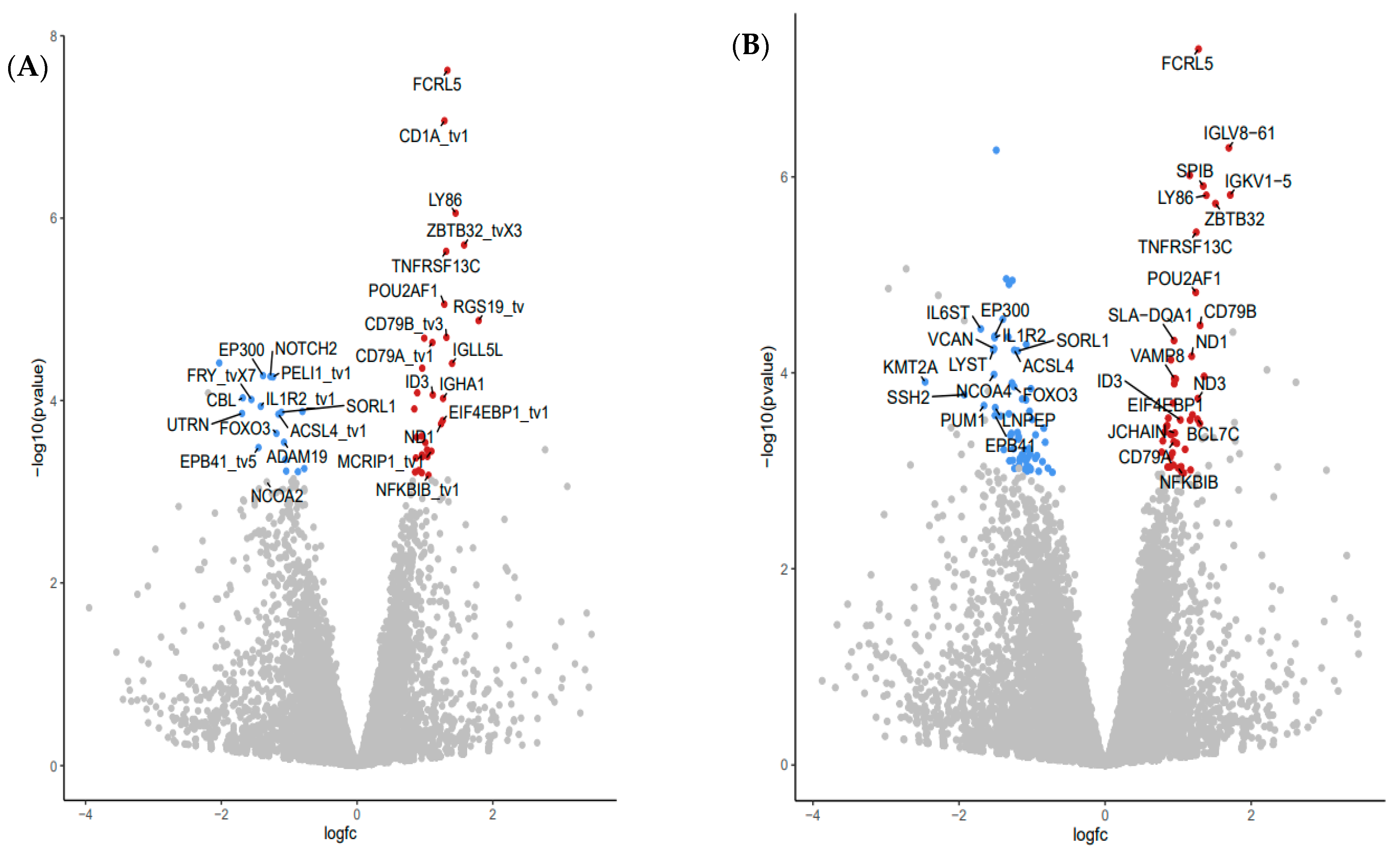 Nutrients 13 04350 g003