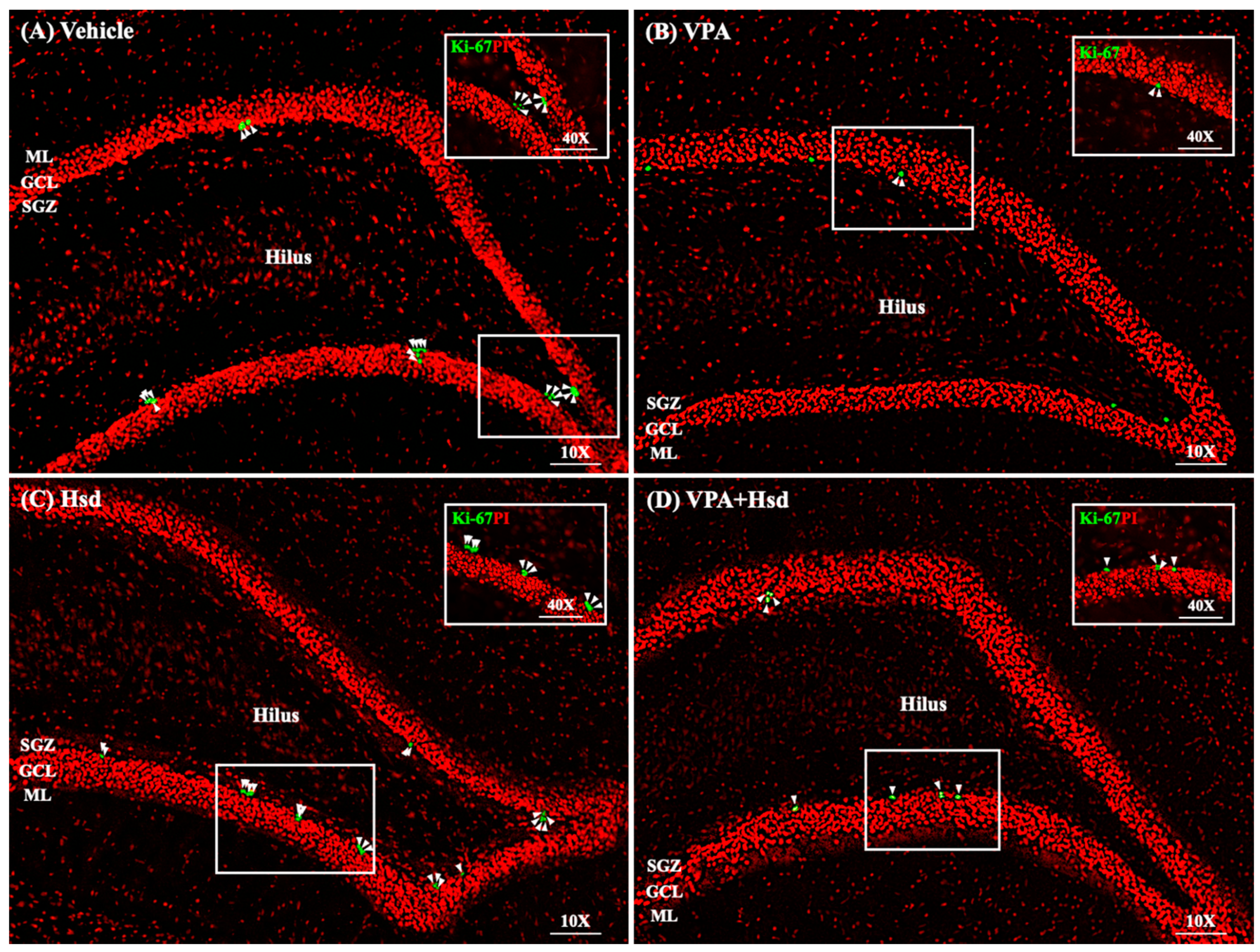 Nutrients 13 04364 g005