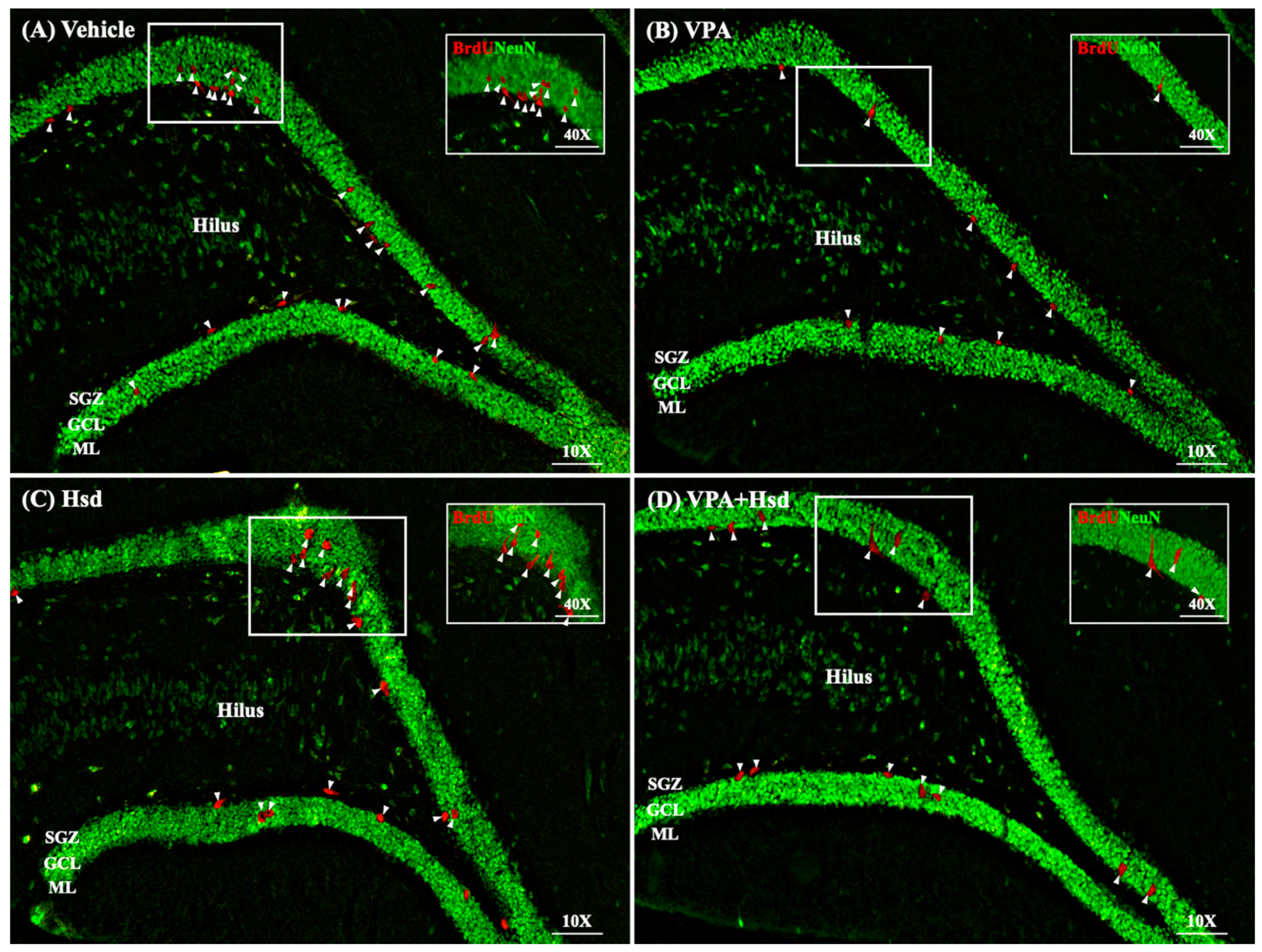 Nutrients 13 04364 g007