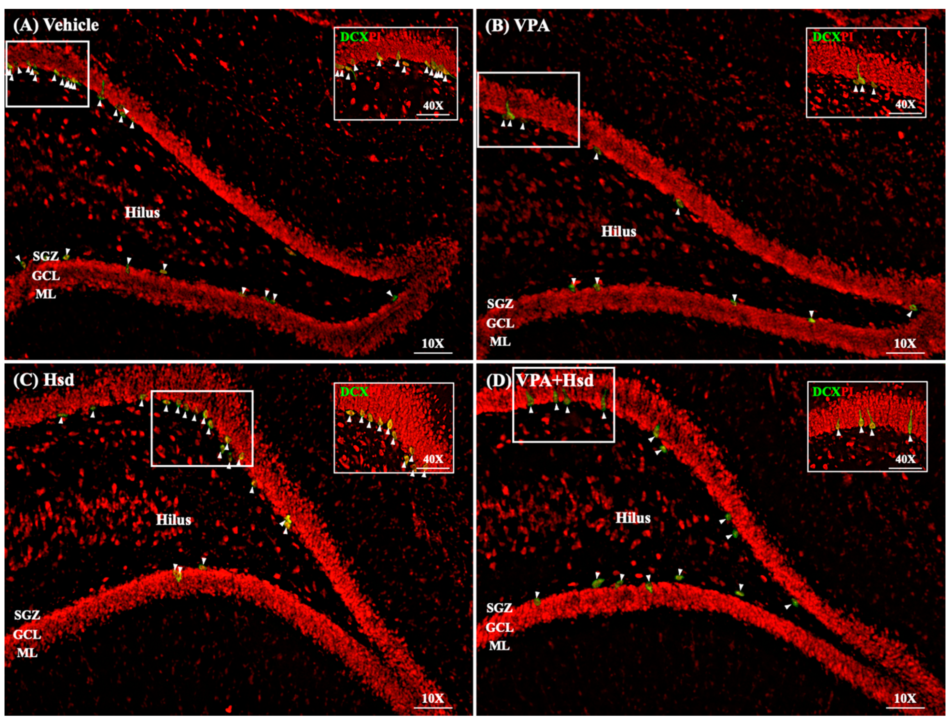 Nutrients 13 04364 g009