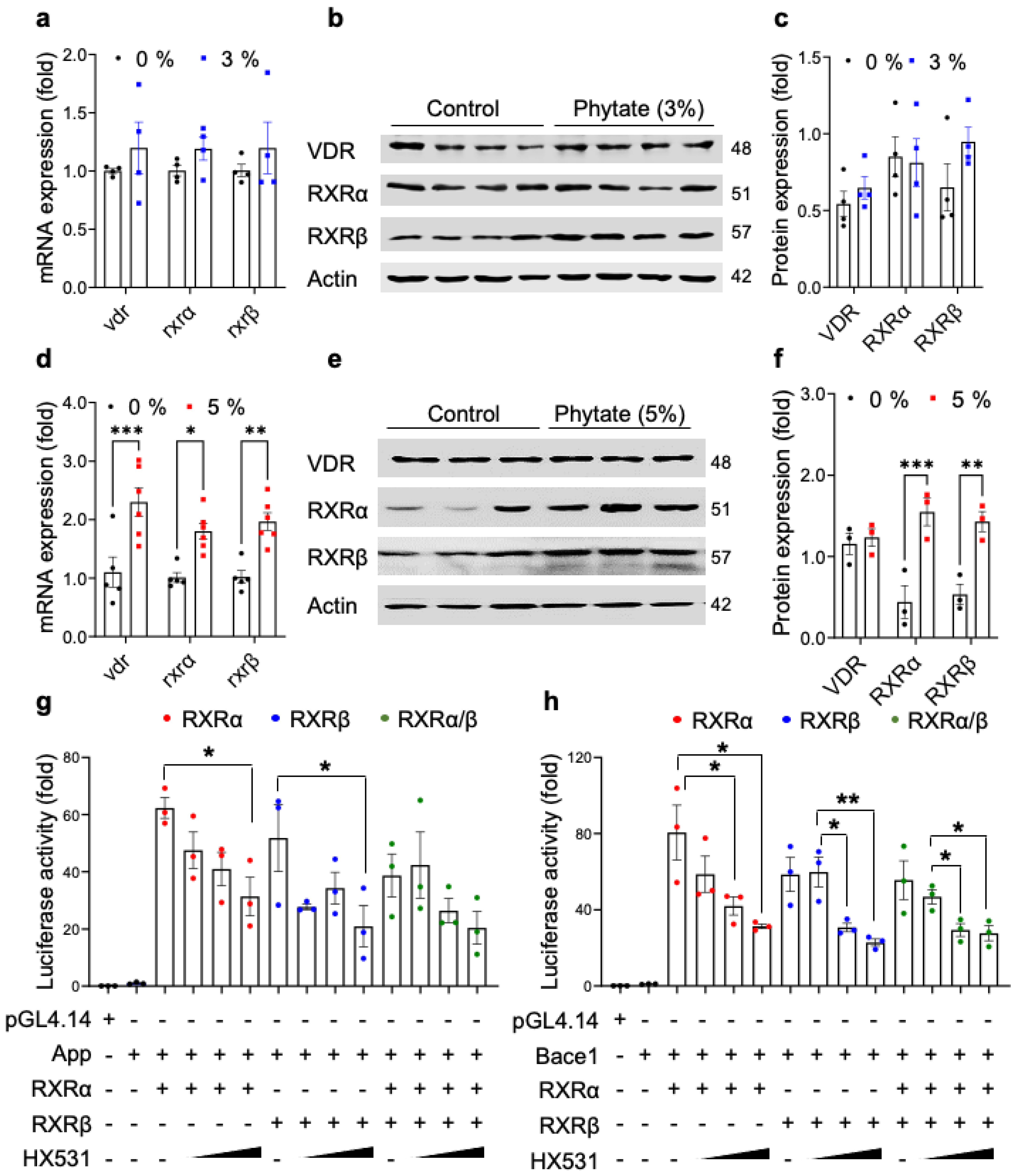 Nutrients 13 04370 g004