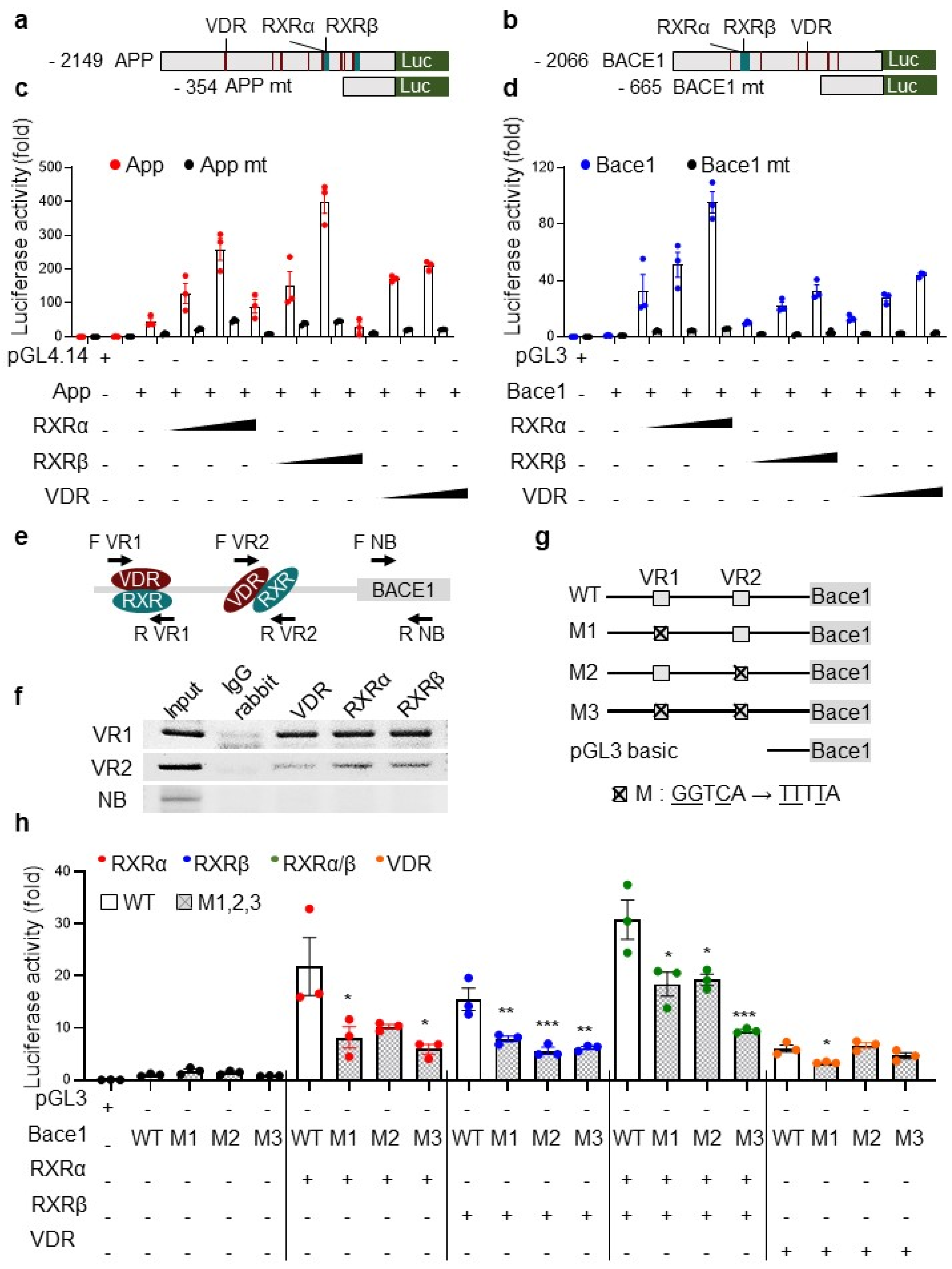 Nutrients 13 04370 g005