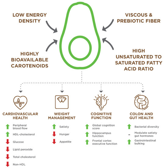 A Comprehensive Review of Hass Avocado Clinical Trials, Observational