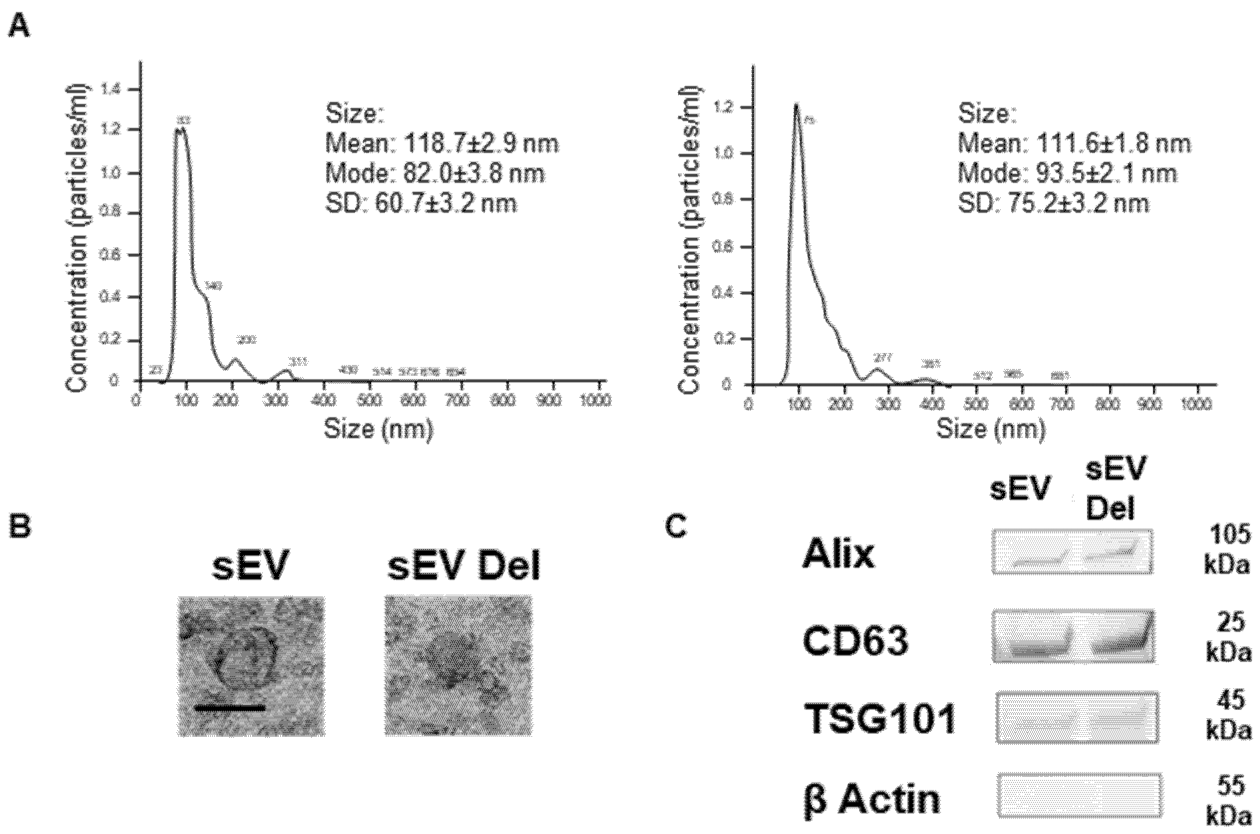 Nutrients 13 04378 g001 550