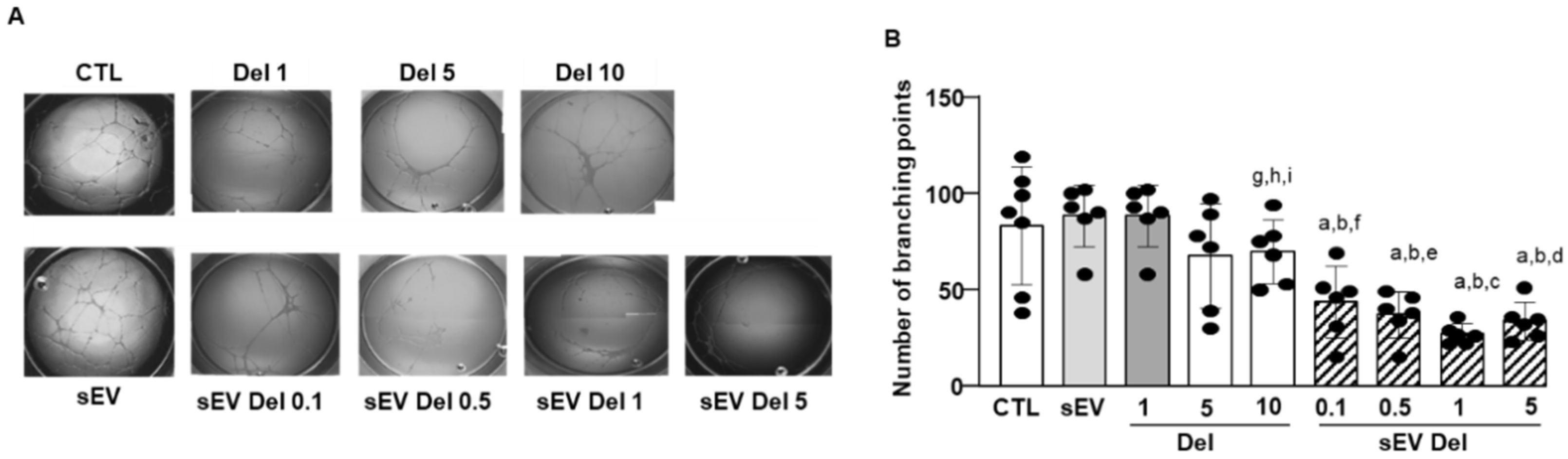 Nutrients 13 04378 g005 550