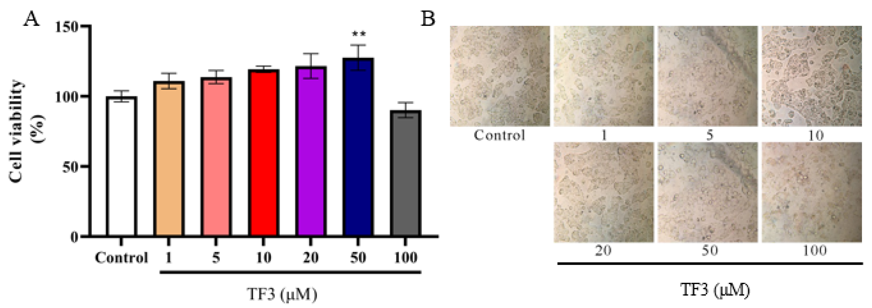 Nutrients 13 04379 g001