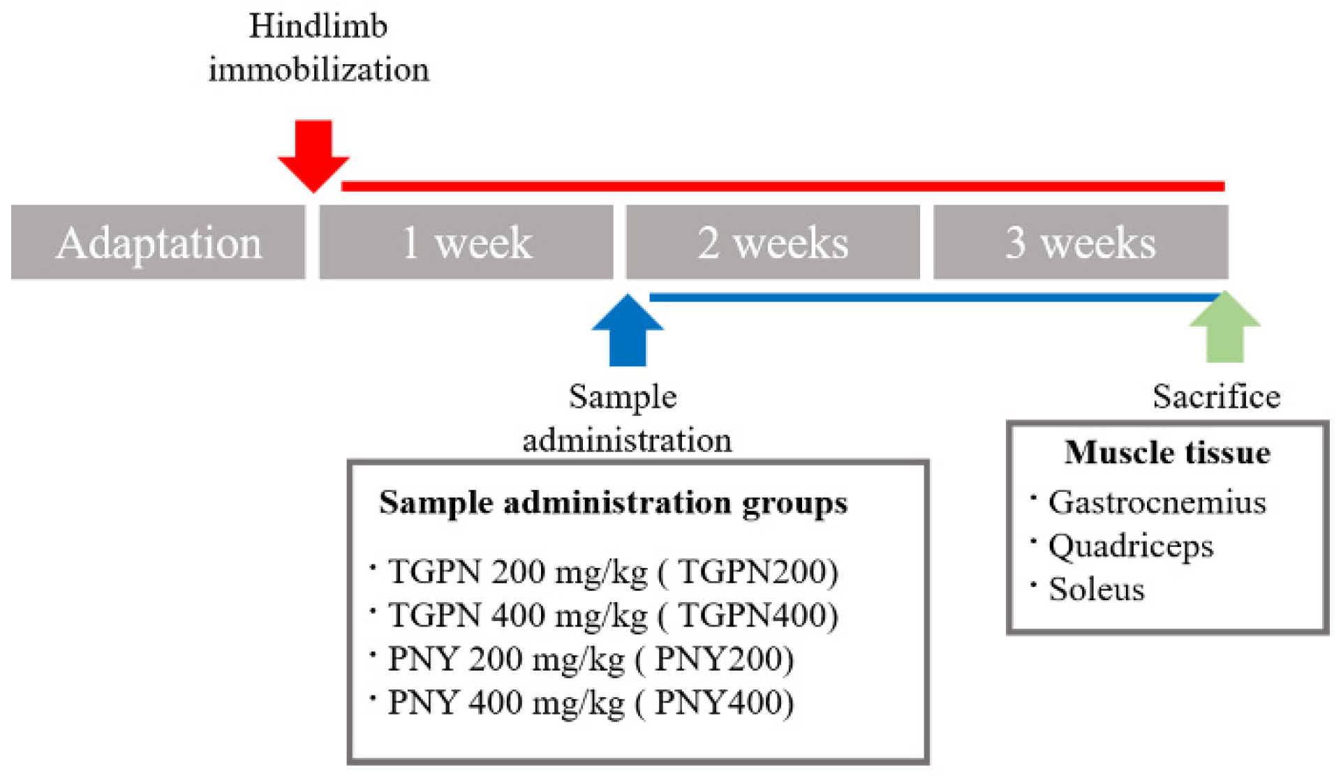 Nutrients 13 04385 g001 Nutrients 13 04385 g001
